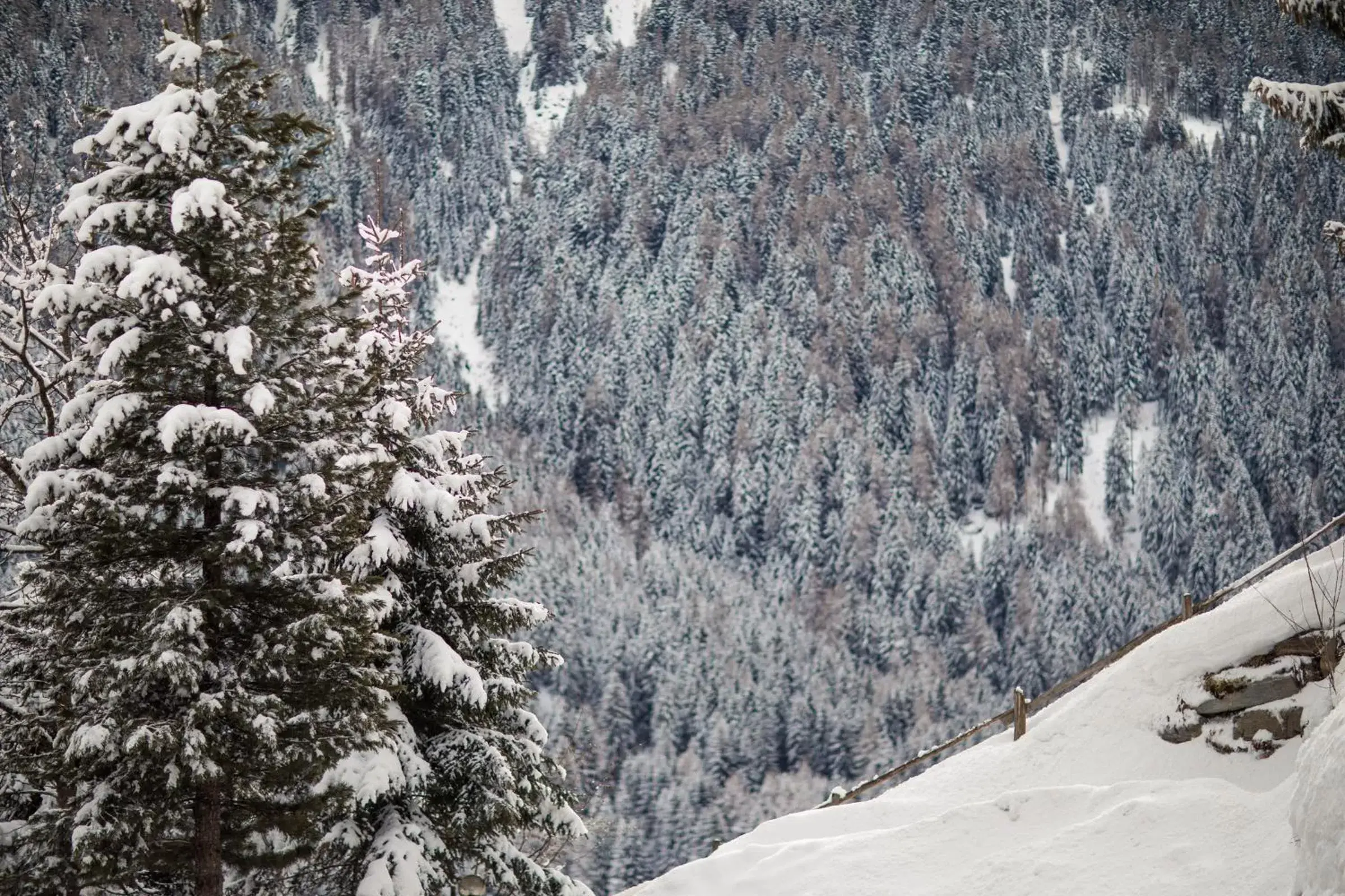 Winter in Hotel Alpenhof