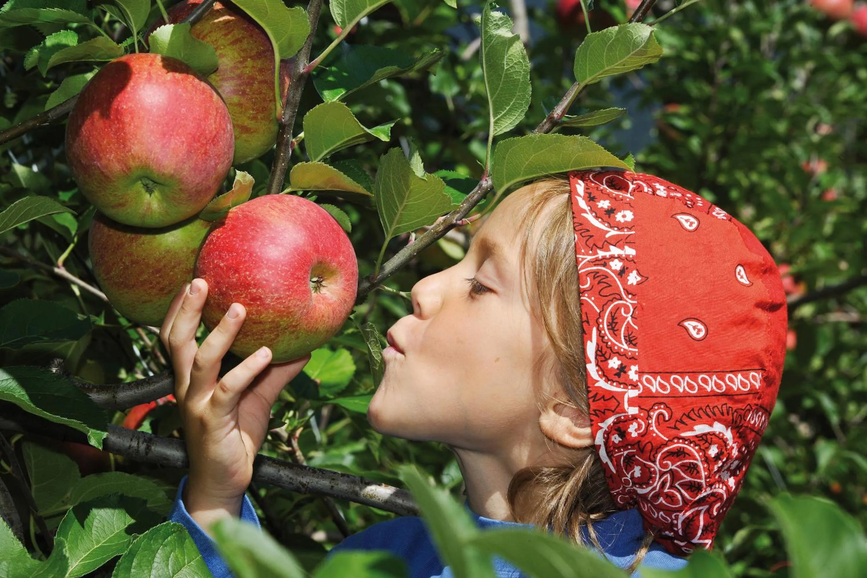 Sports in Pineta Nature Resort - Wellness & SPA