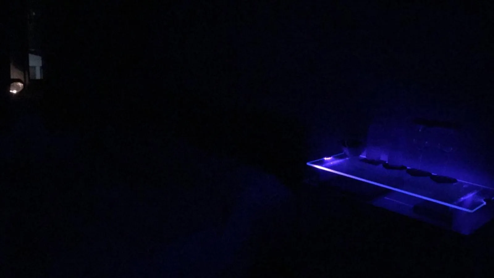 Night in Bianca's House Hotel Heathrow Airport