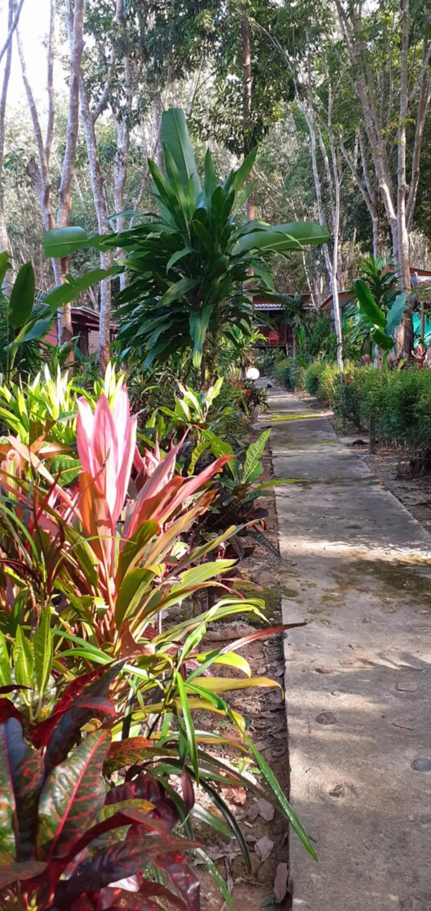 Photo of the whole room in Lanta Maikeaw Bungalow