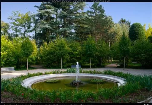 Garden in Hotel Terme di Castel San Pietro