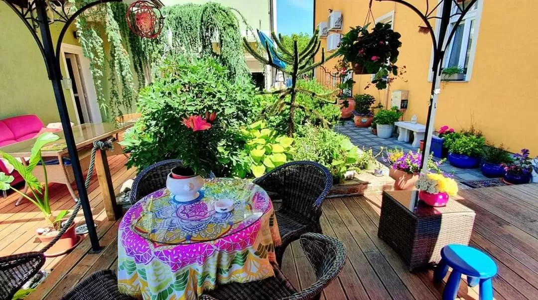 Garden in Hostel Sonce