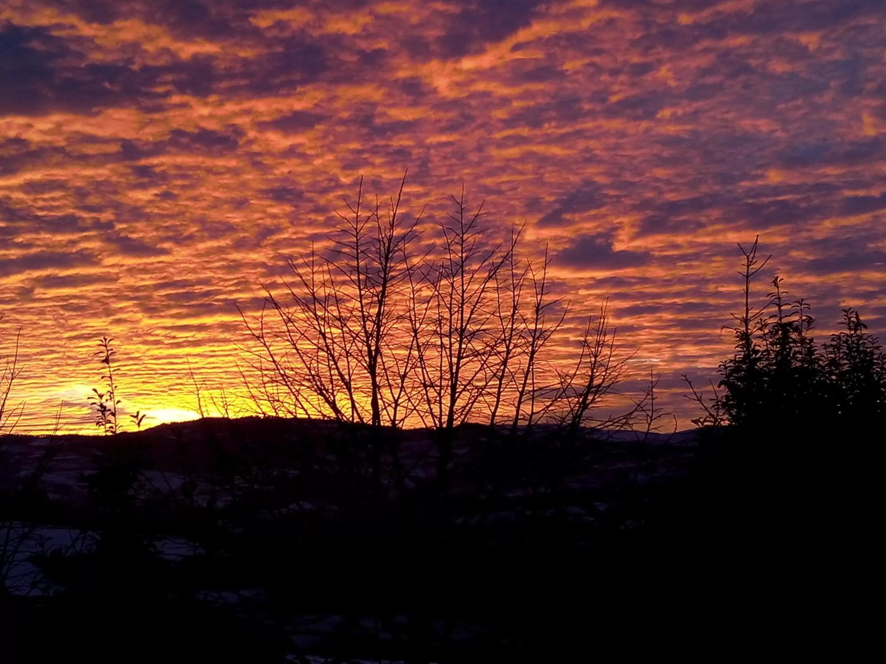 View (from property/room) in Albergo Diffuso Spa - Il Poggetto tra Urbino & San Marino