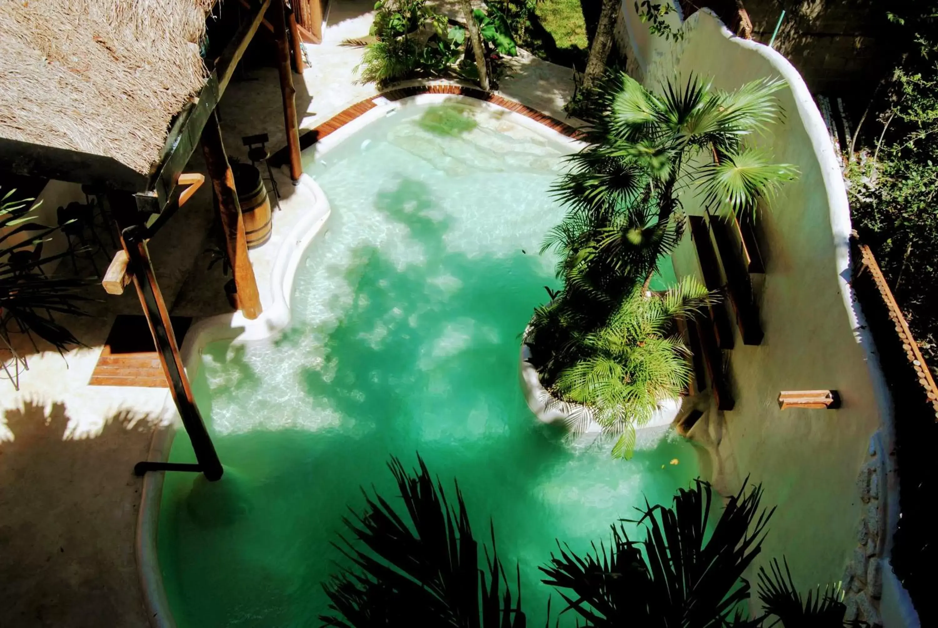 Bird's eye view, Pool View in Hotel Boutique TerraNova