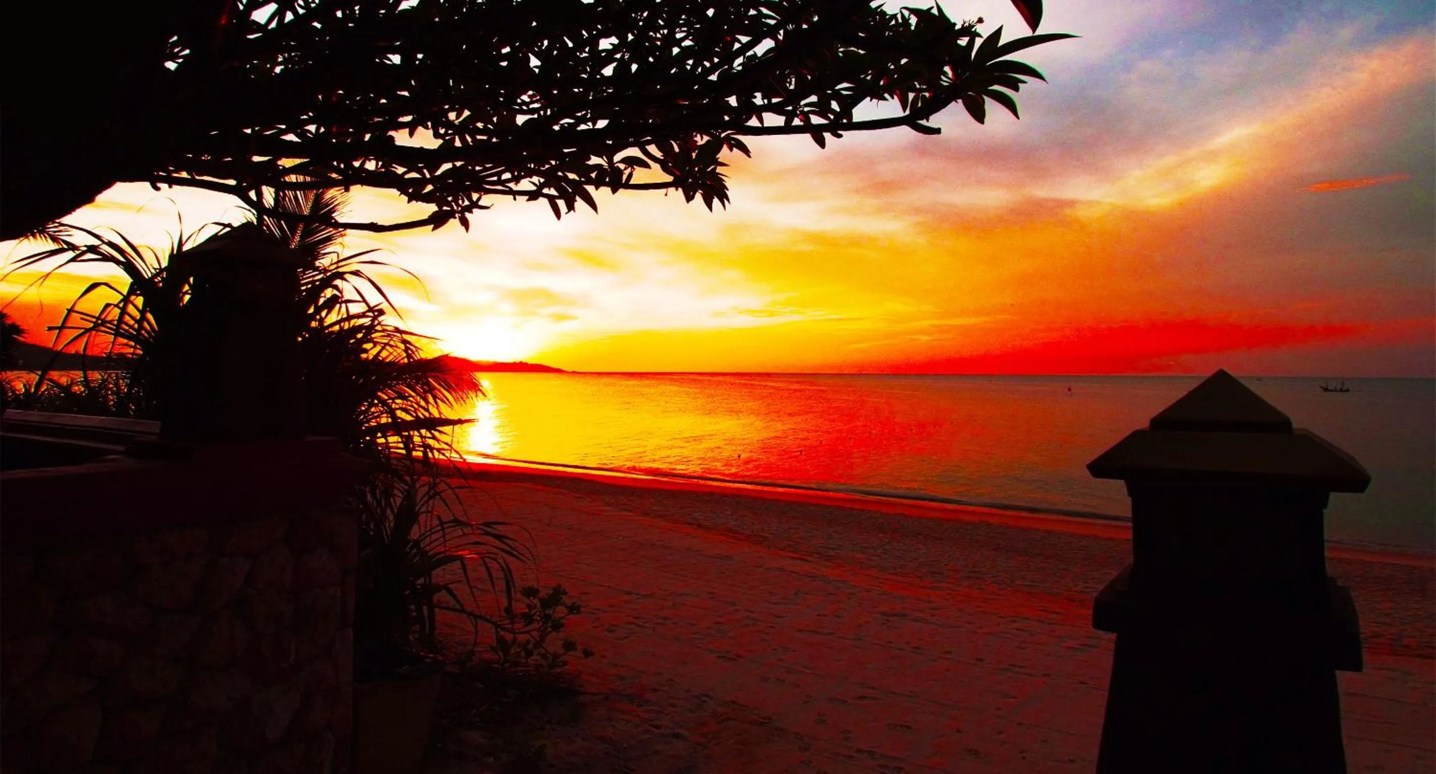 Day in Ammatara Pura Pool Villa