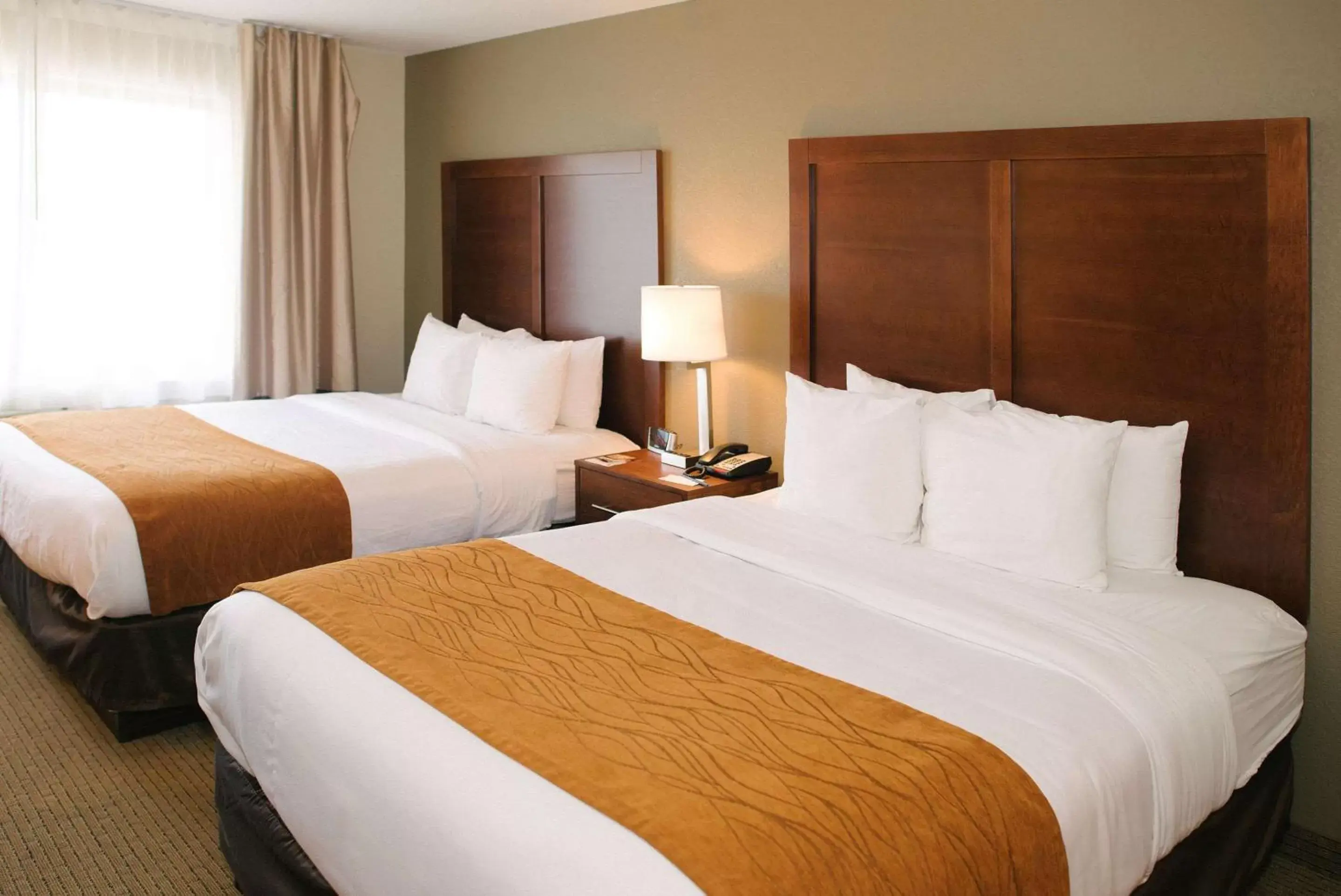 Photo of the whole room, Bed in Comfort Inn & Suites Near Custer State Park and Mt Rushmore