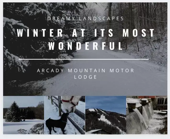 Winter in Arcady Mountain Motor Lodge