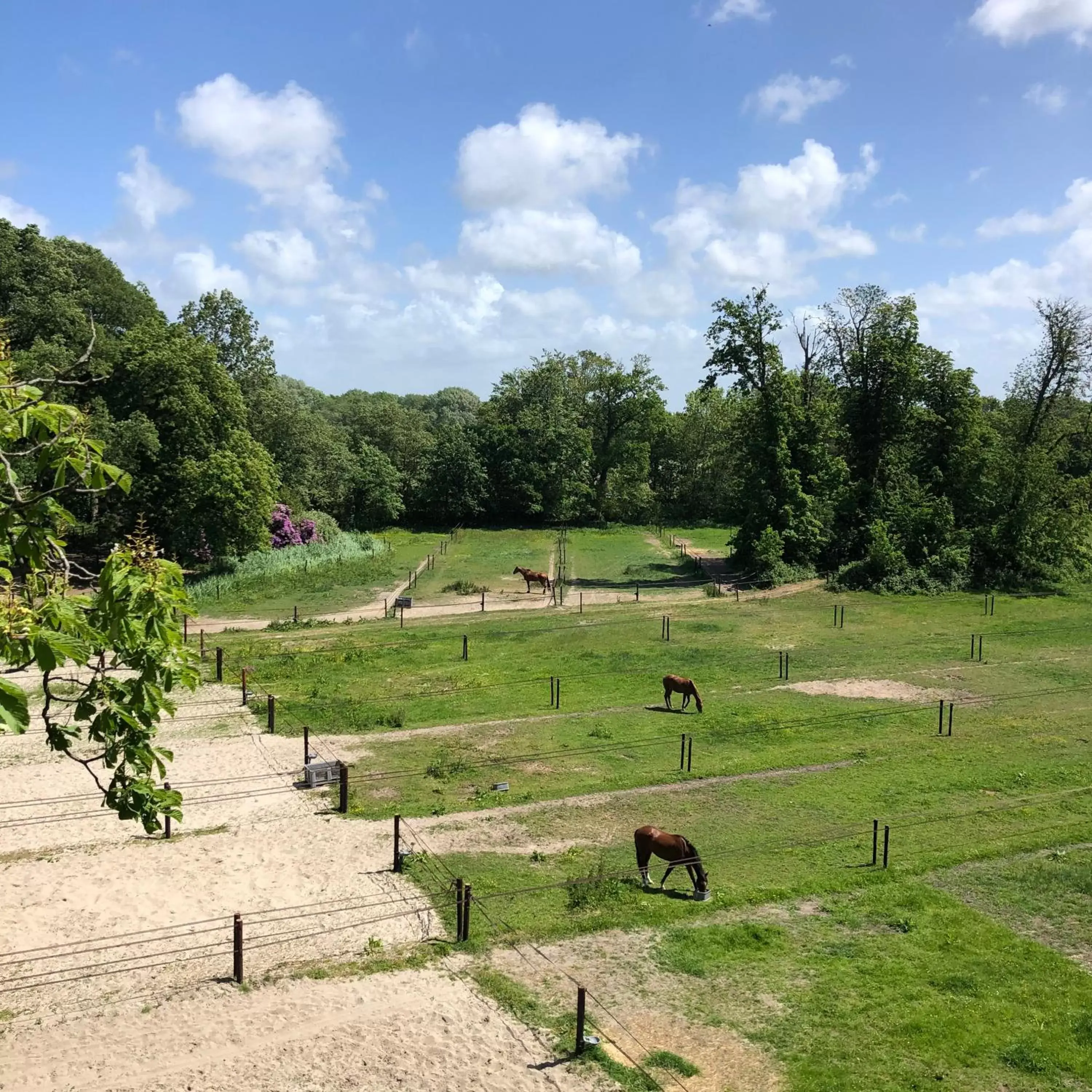 Garden view in Eco Hotel Plantage Rococo