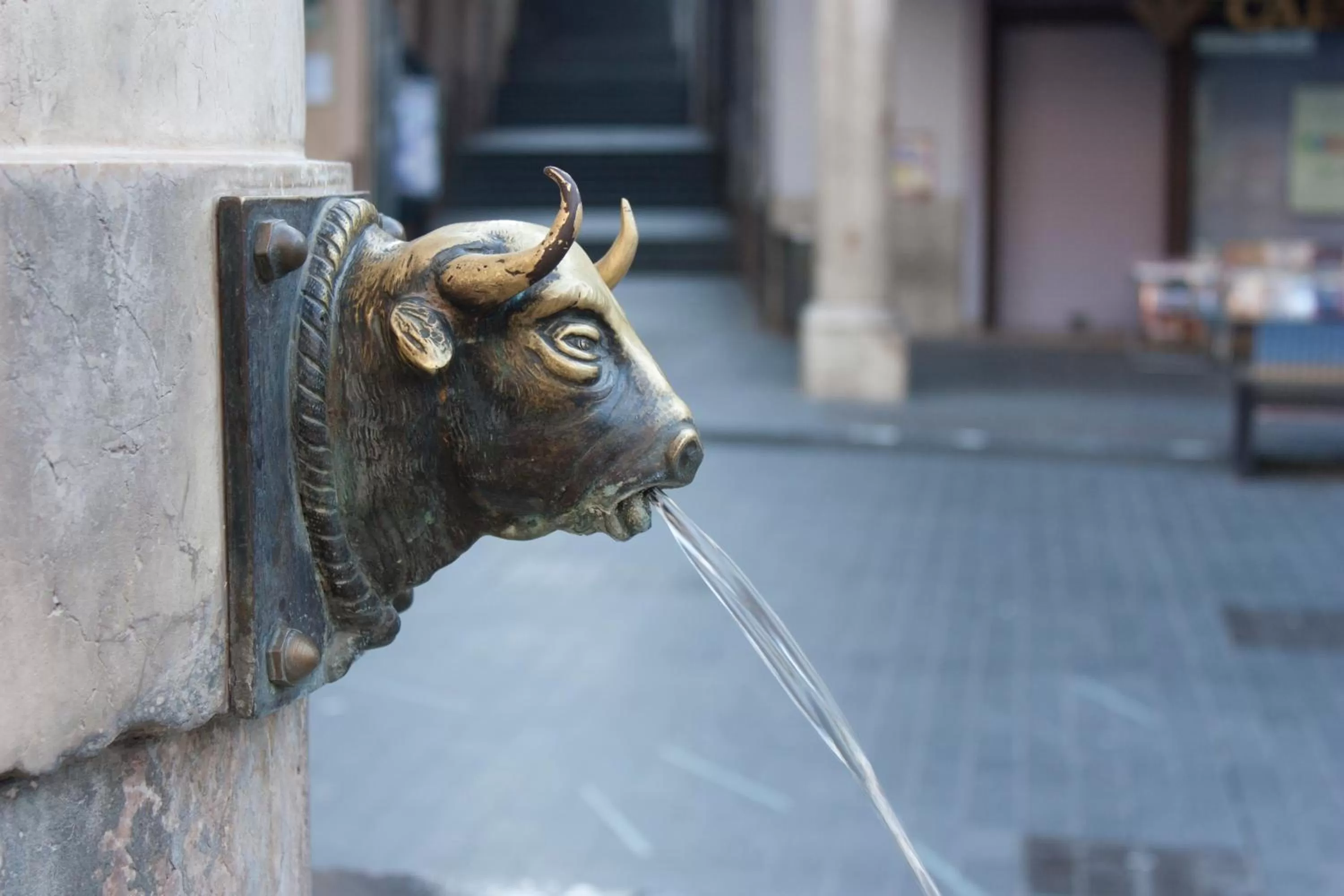 Decorative detail in Hotel Torico Plaza