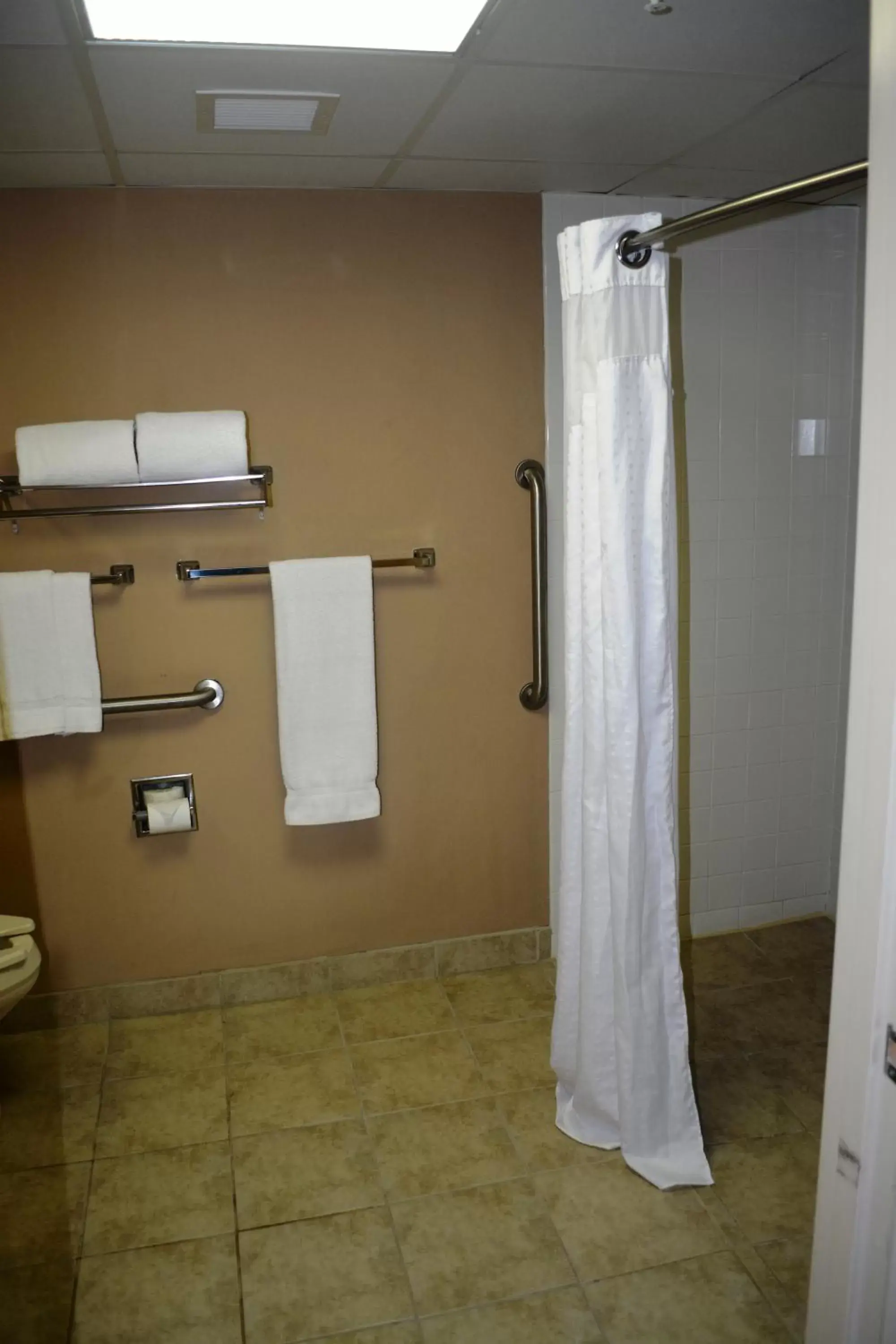 Shower, Bathroom in SureStay Plus Hotel by Best Western Roanoke Rapids I-95