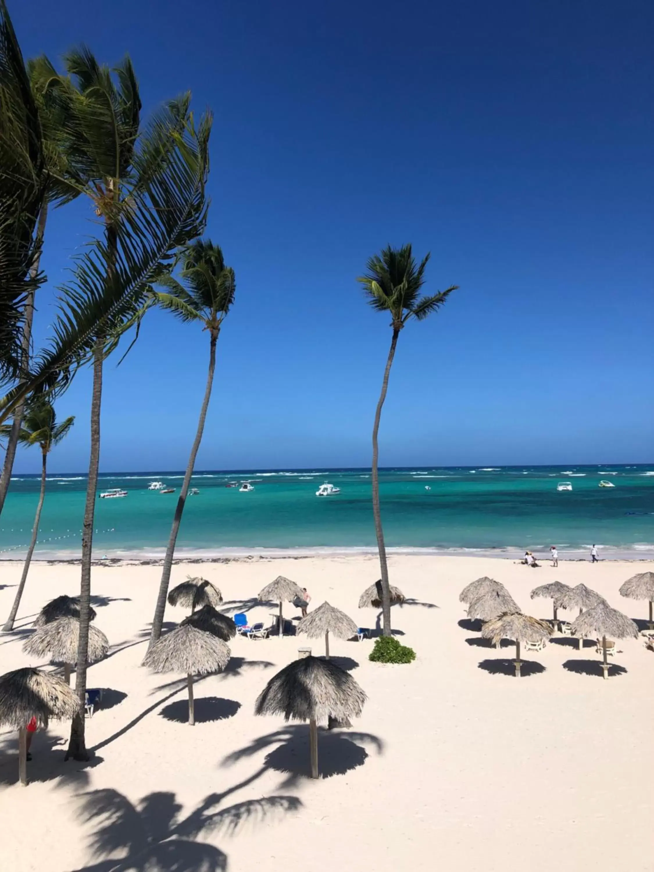 Beach in Los Corales Luxury Villas Beach Club and Spa