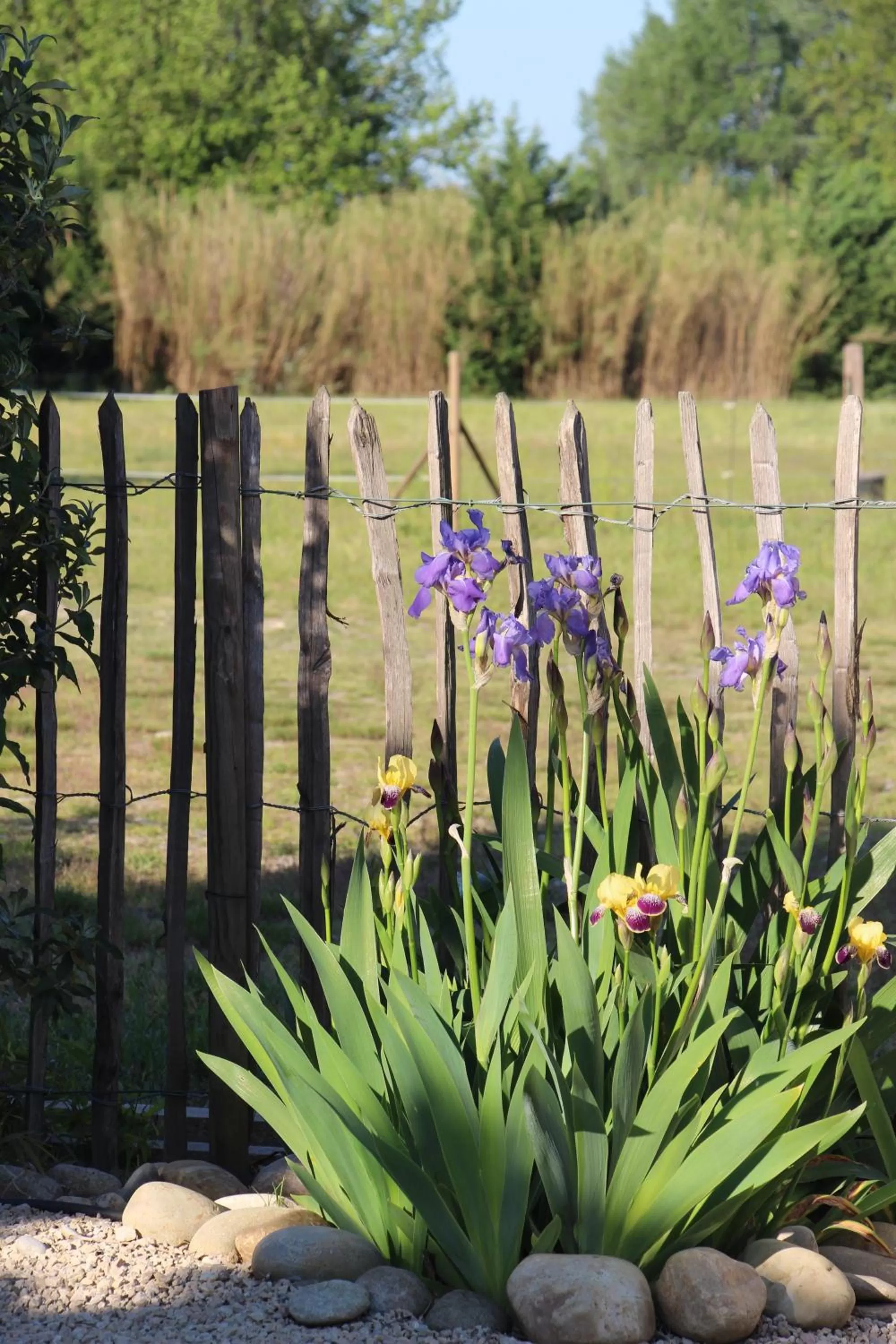 Garden in Sous les Platanes B&B