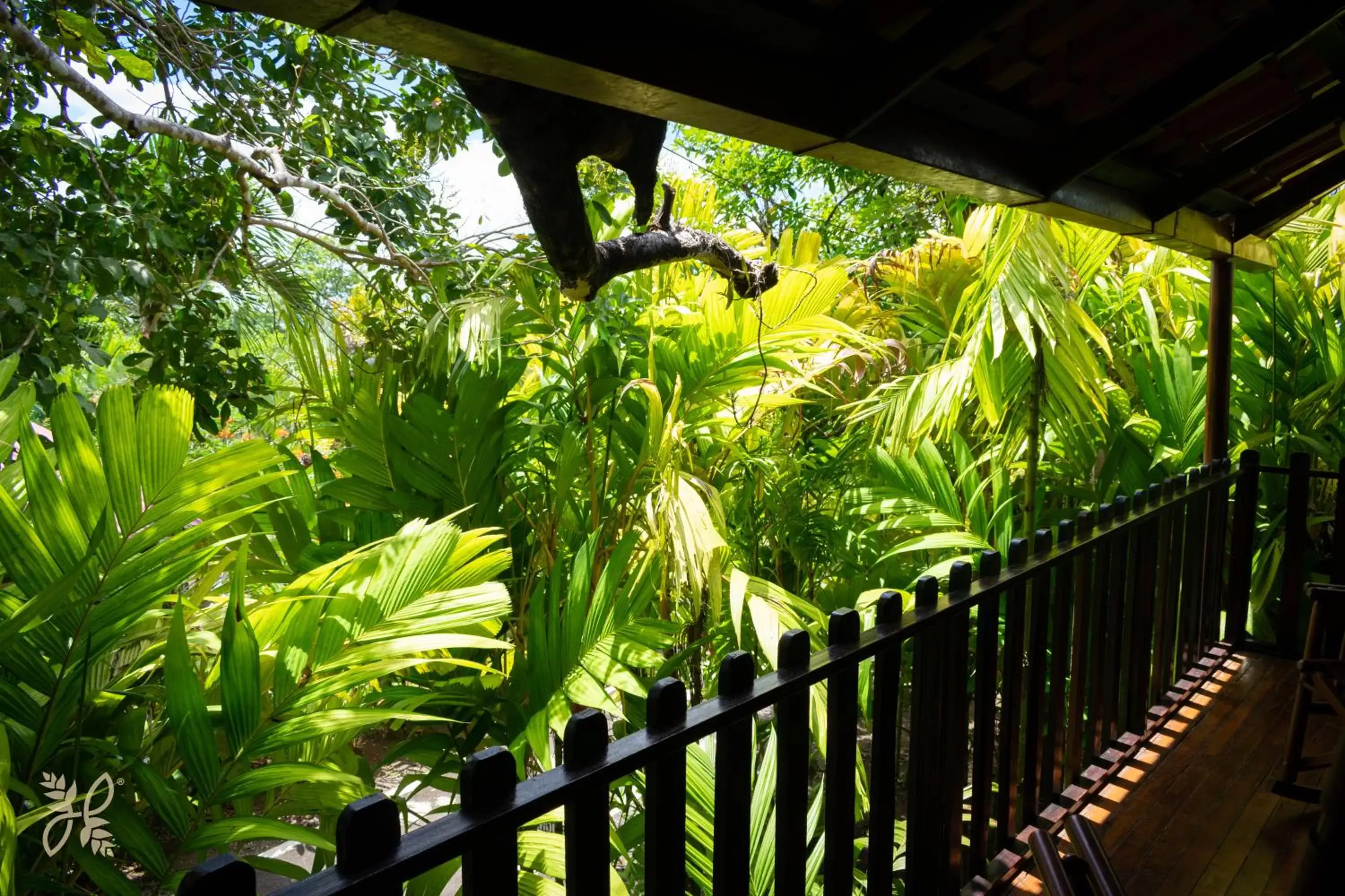 Spring in Hotel Heliconias Nature Inn & Hot Springs