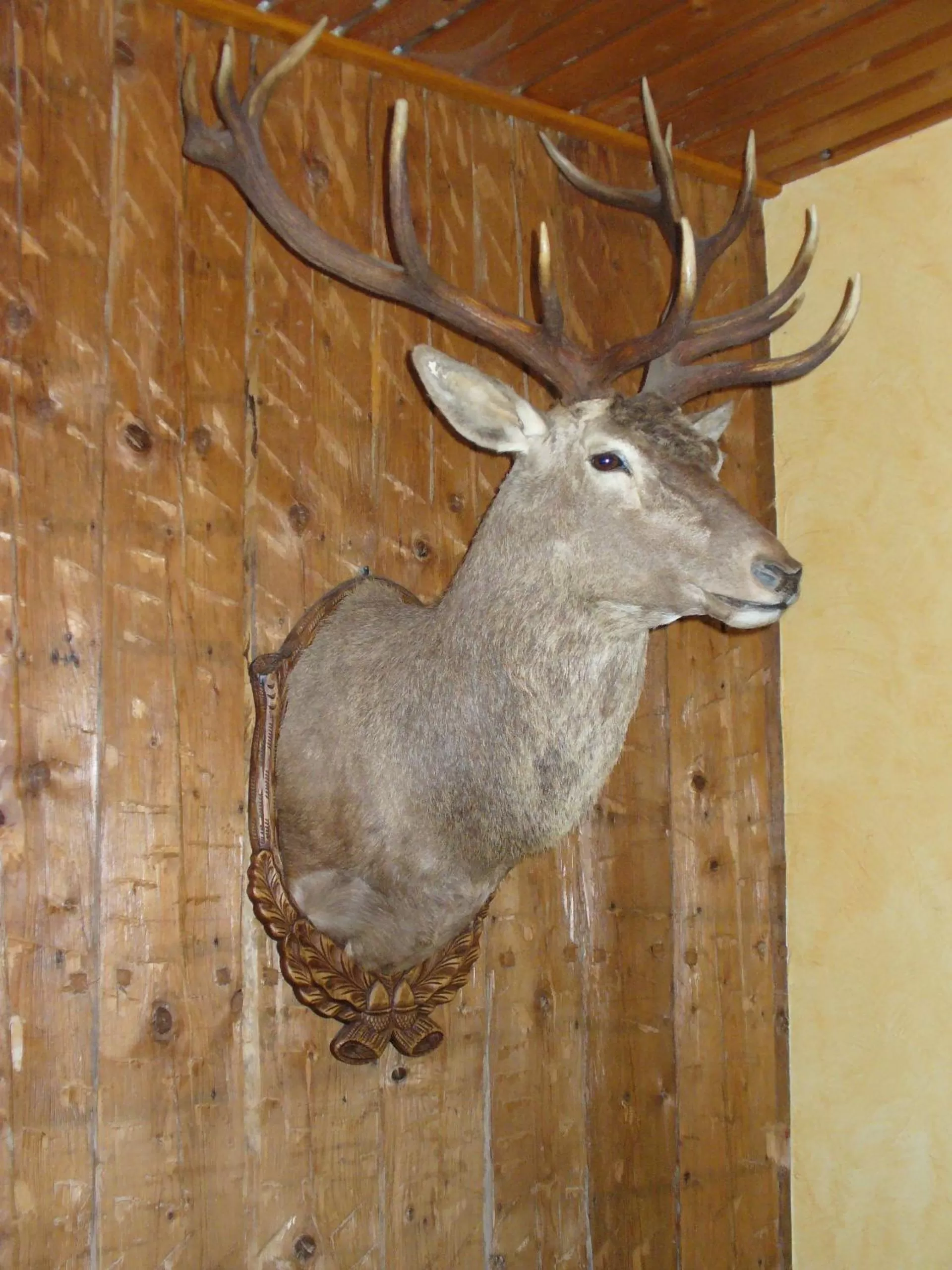 Facade/entrance in Zum Roten Hirsch im Grünen Wald