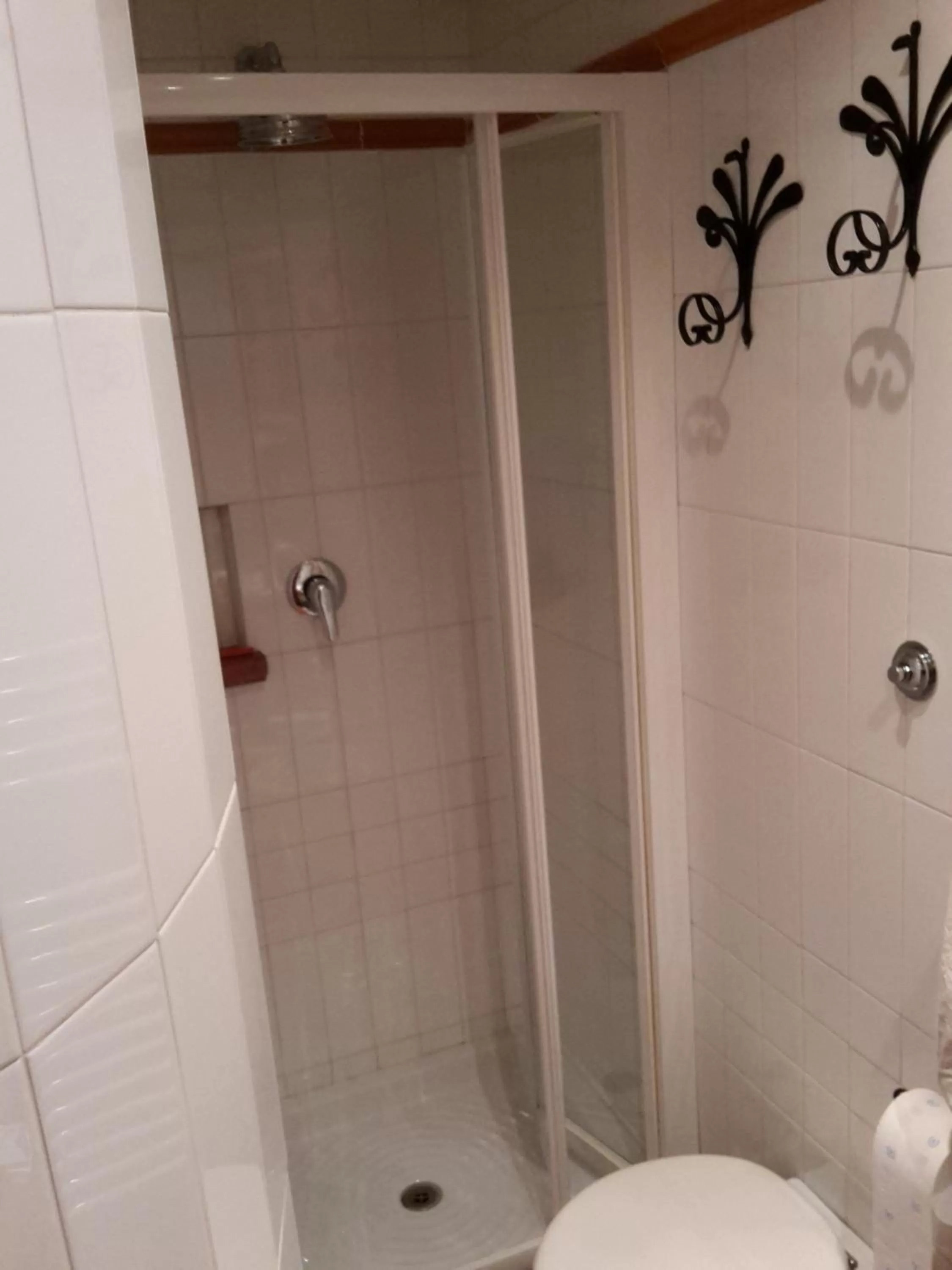 Shower in Hotel Al SanPietrino