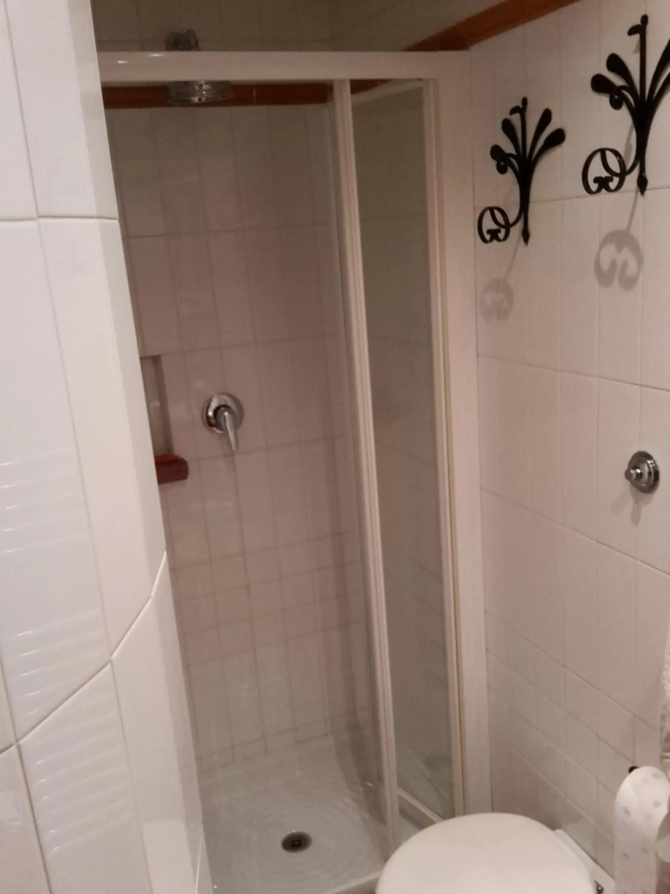 Shower, Bathroom in Hotel Al SanPietrino