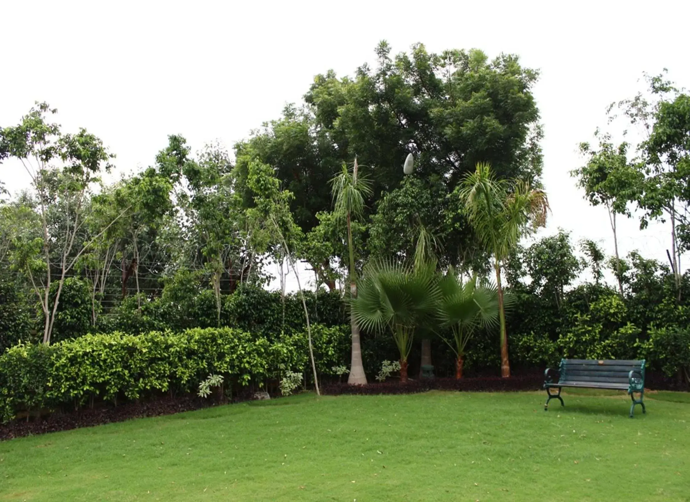 Garden view, Garden in Nidhivan Sarovar Portico