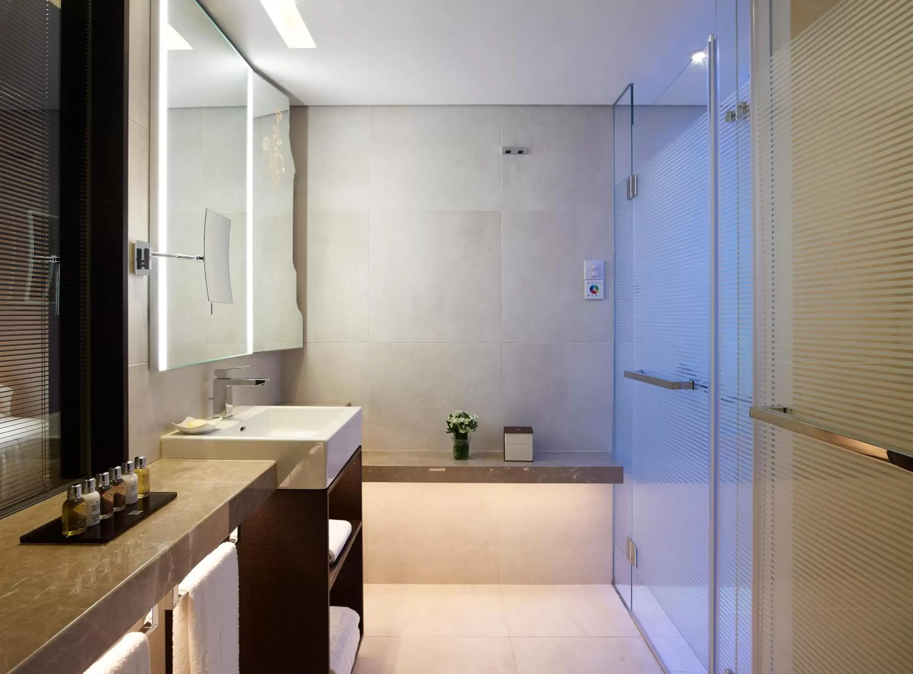 Bathroom in Four Seasons Hotel