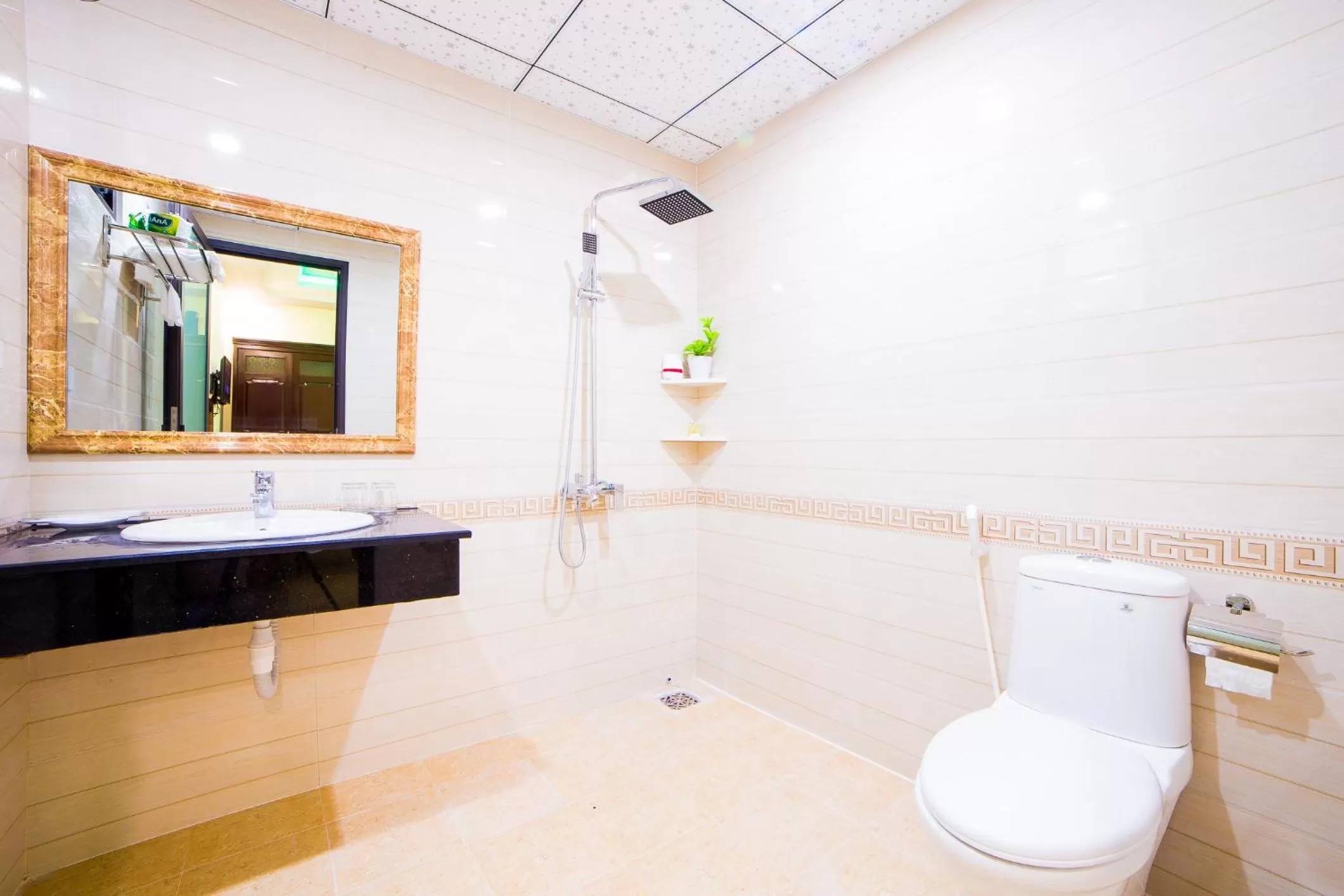 Shower in Hào Anh Villa Hội An