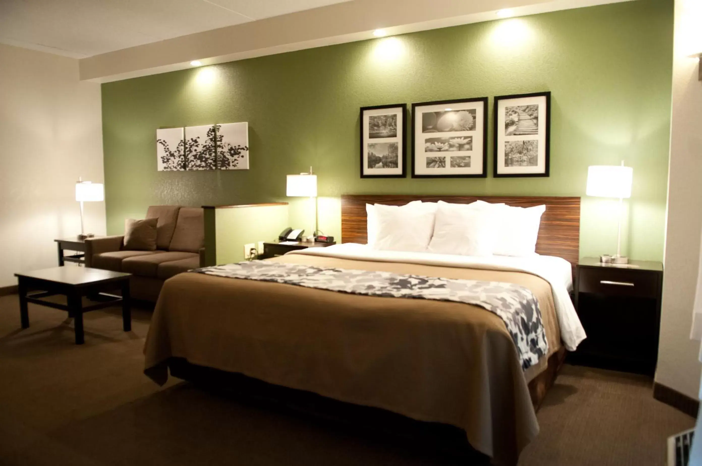 King Suite with Spa Bath in Sleep Inn & Suites Buffalo Airport Cheektowaga