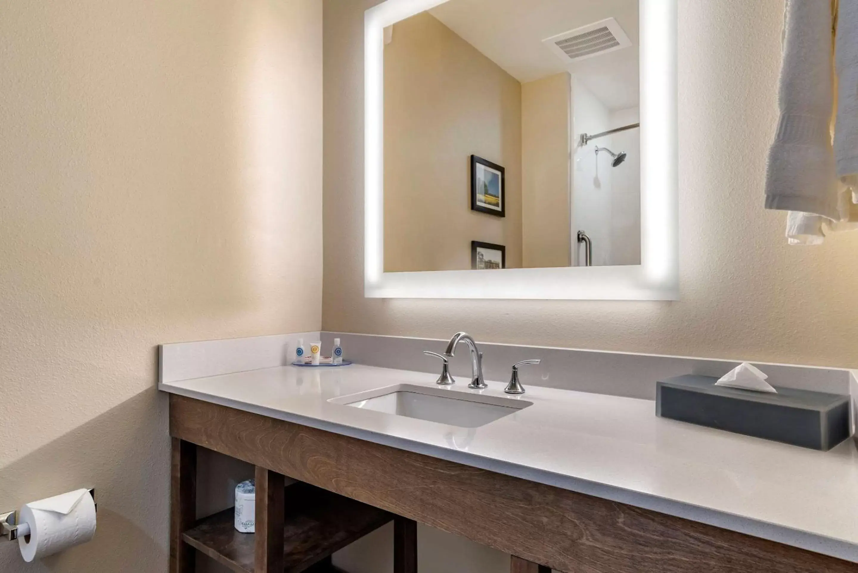 Bathroom in Comfort Inn & Suites Downtown near University