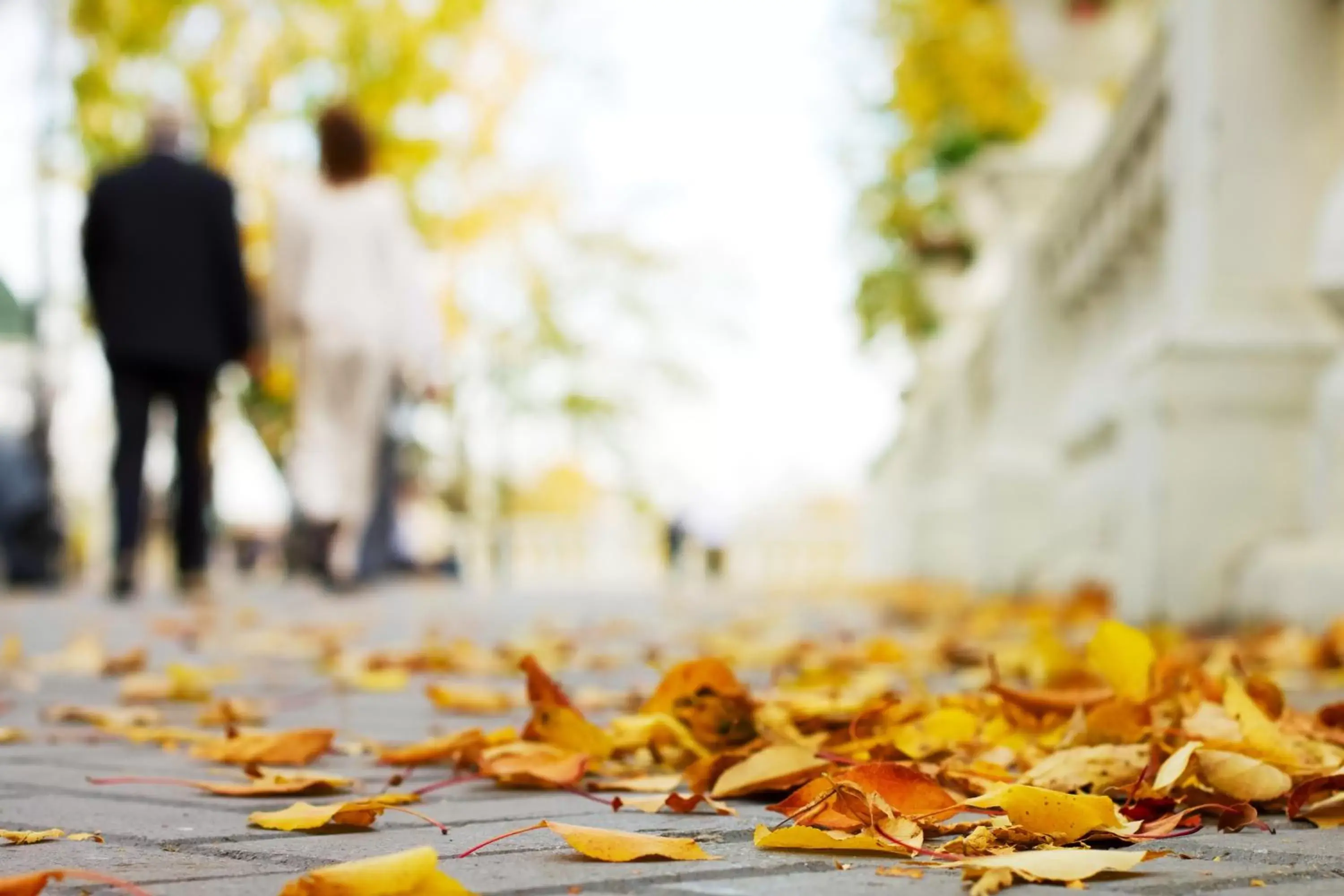 Autumn, Guests in First Hotel Örebro