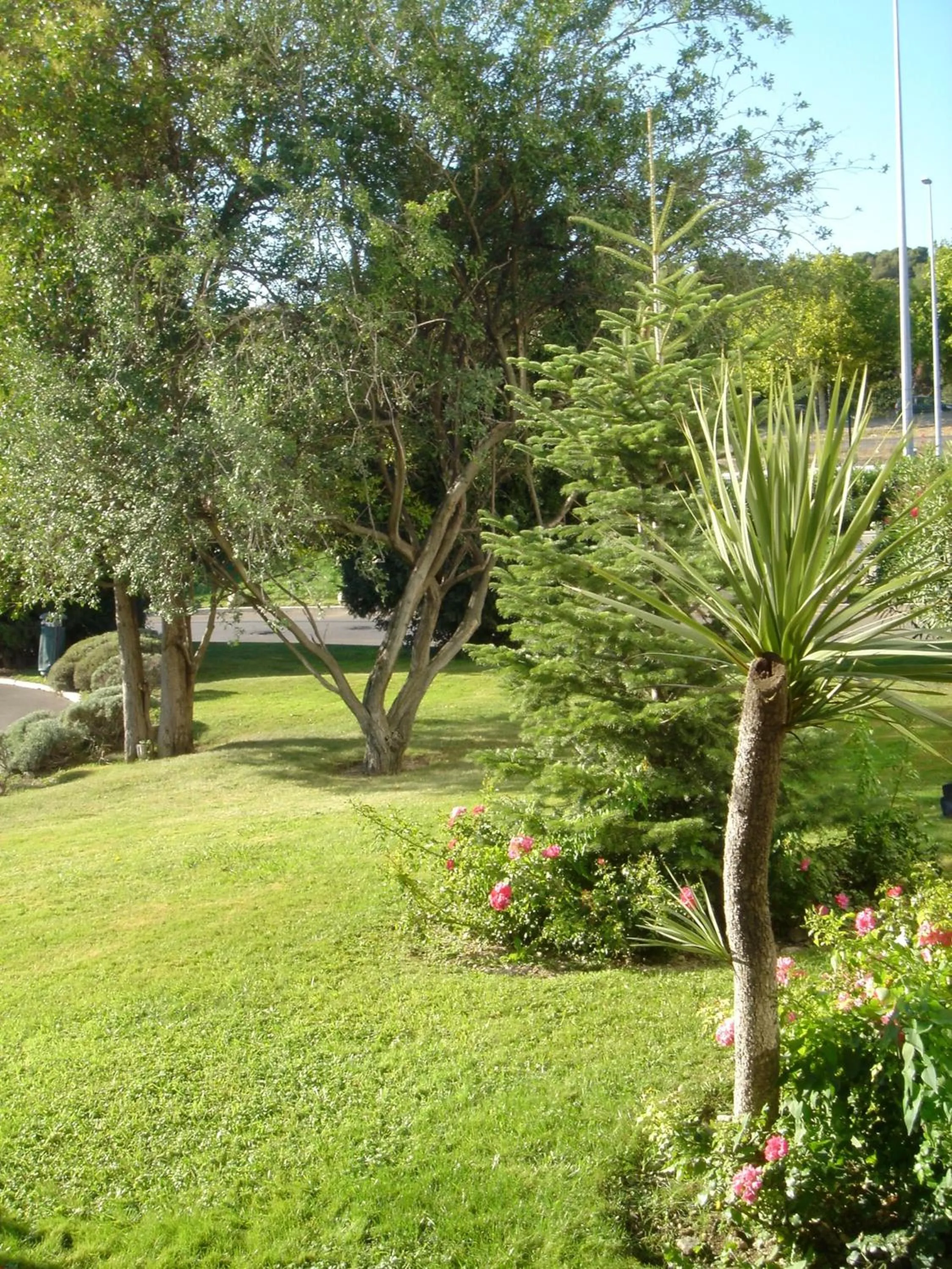 Garden in Novotel Marseille Est Porte d'Aubagne
