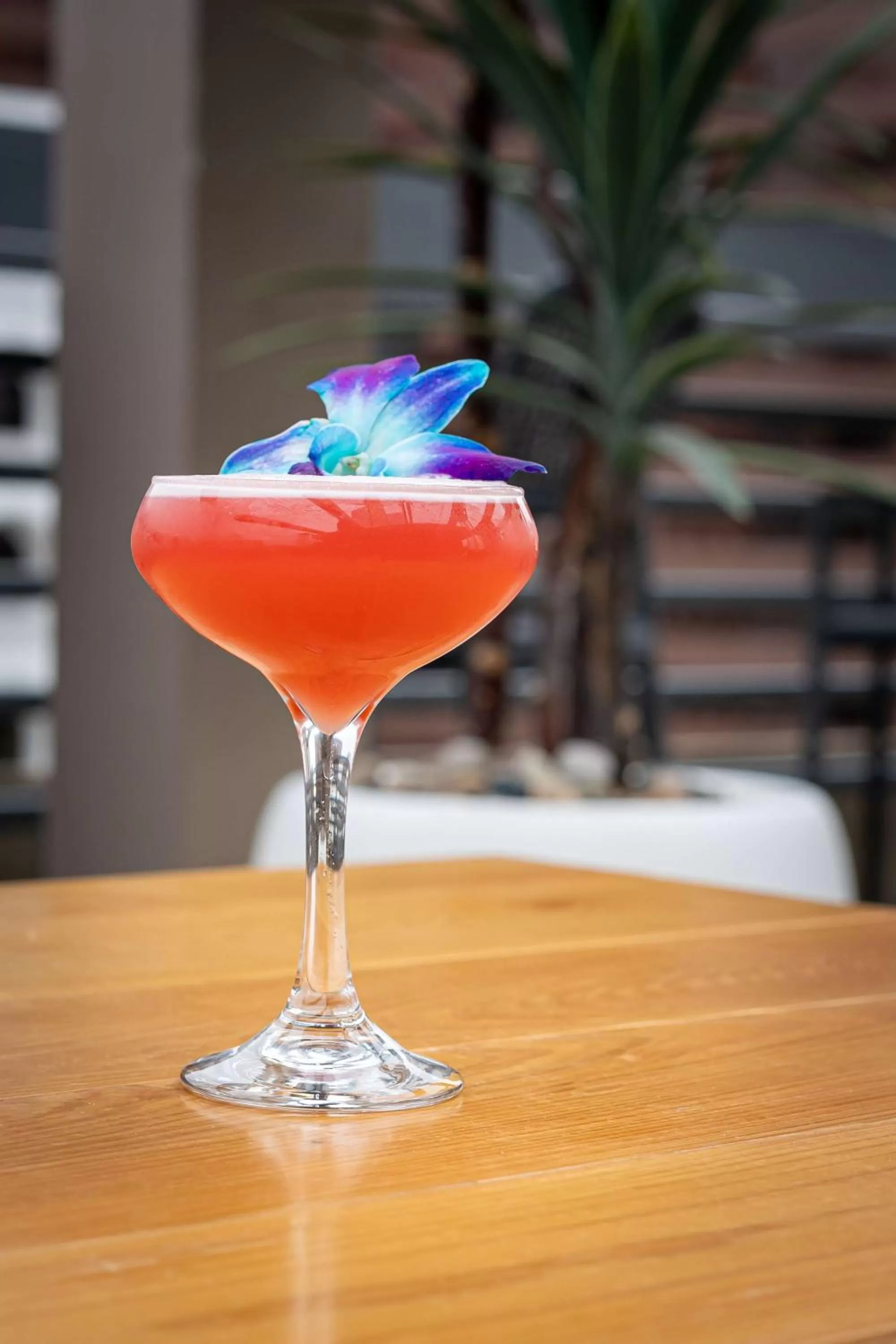 Restaurant/places to eat in Hilton Garden Inn Phoenix Downtown