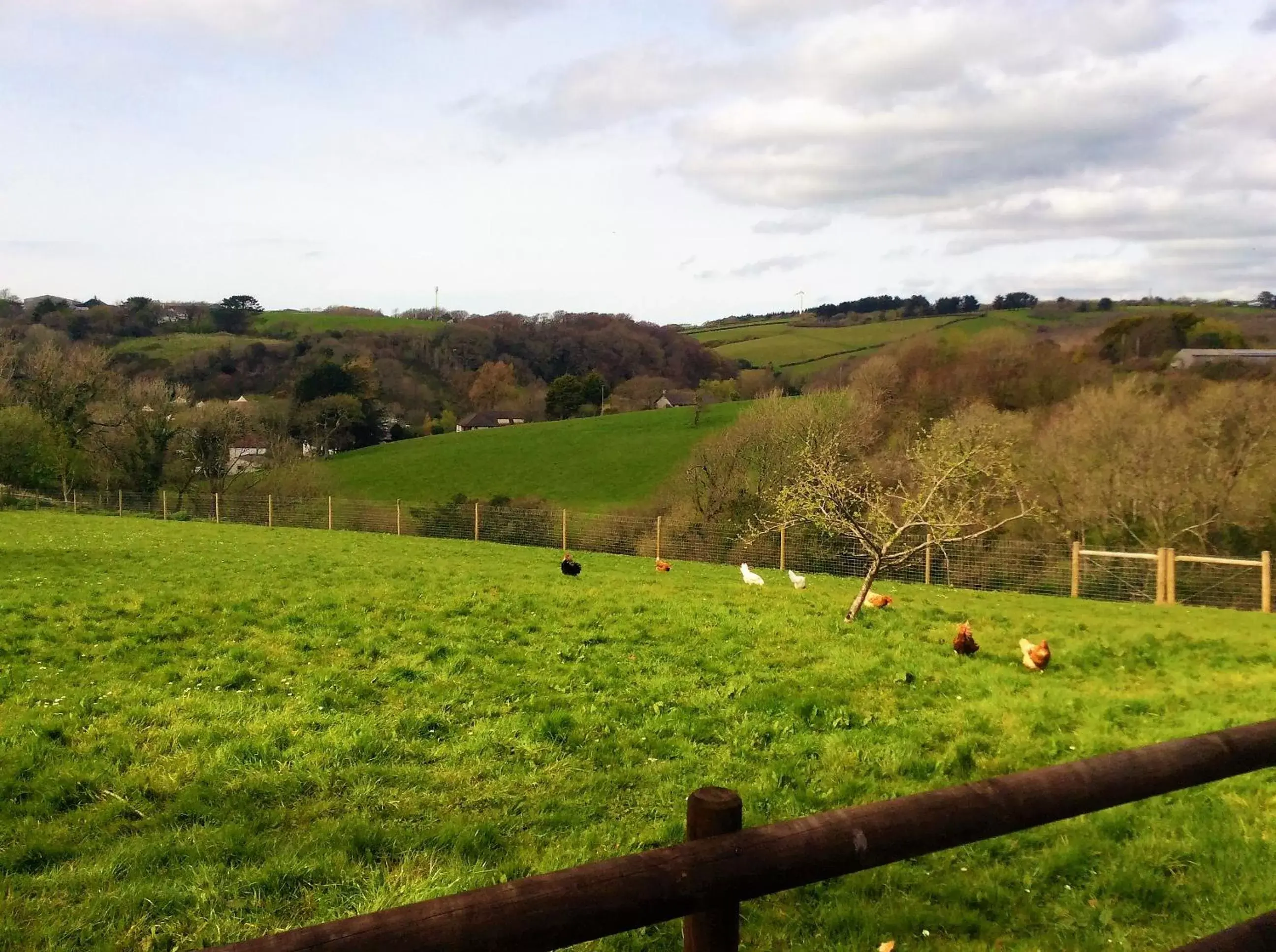 Natural landscape in Bosvean House Bed & Breakfast