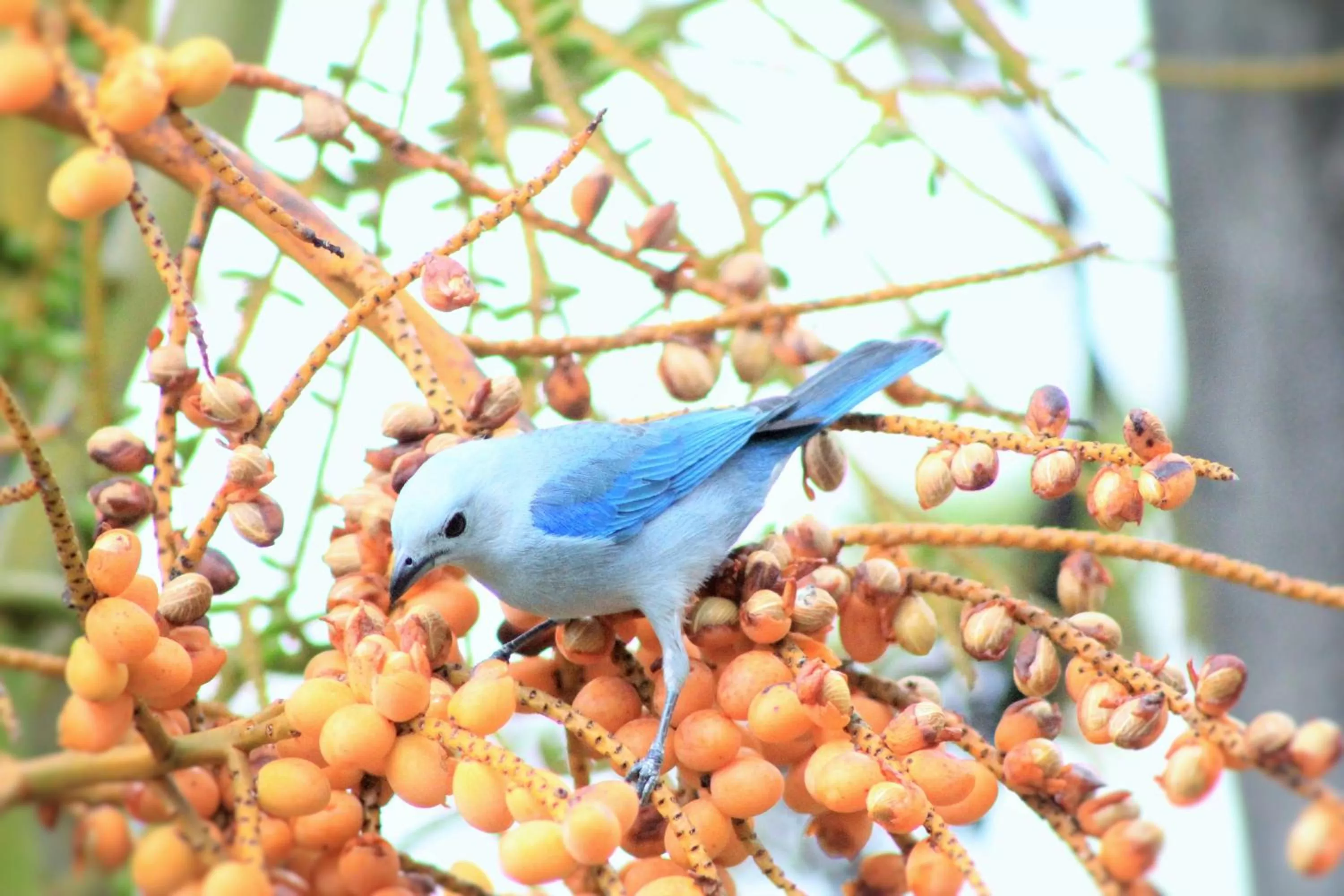 Area and facilities in Hotel Monte Real