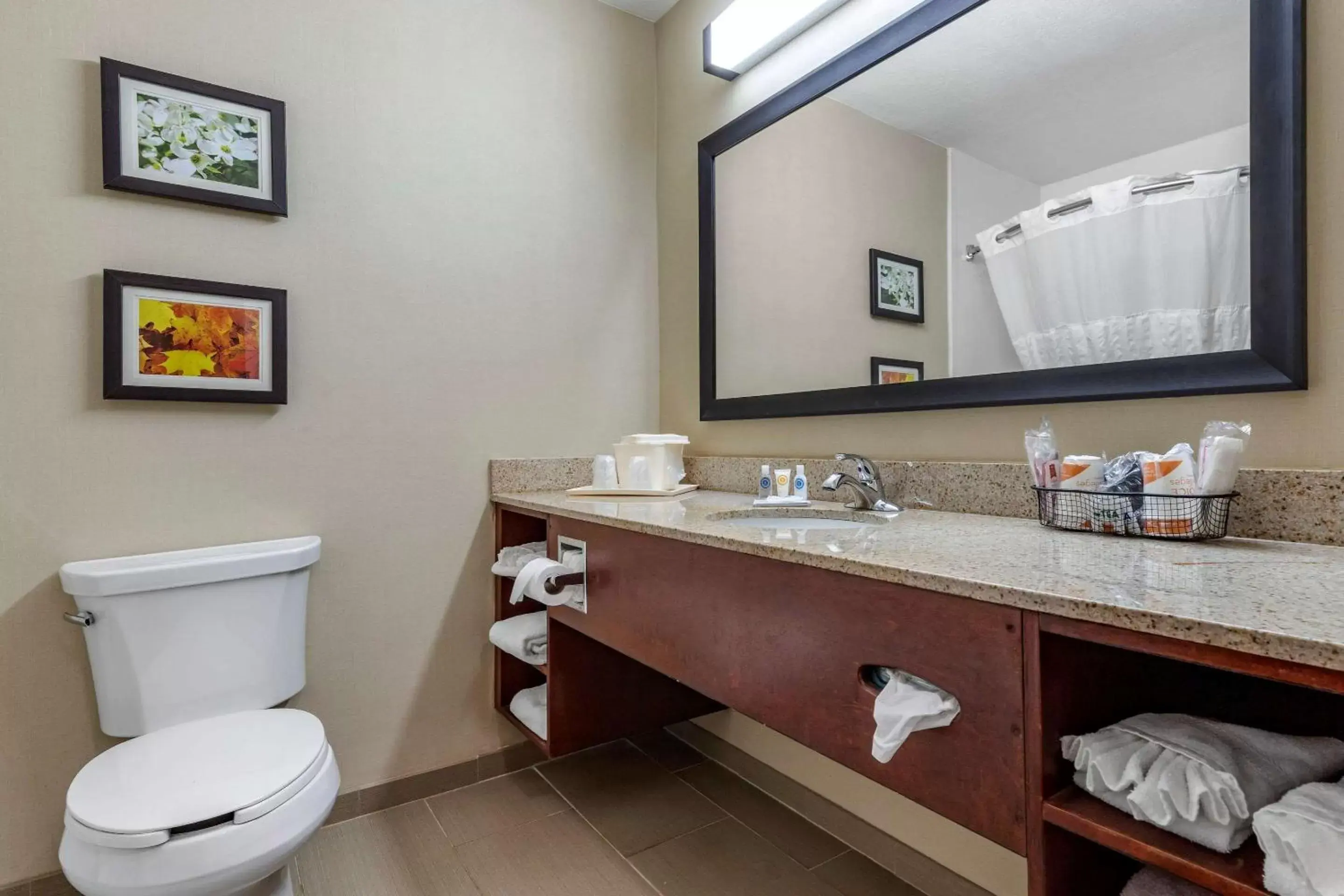 Photo of the whole room, Bathroom in Comfort Inn