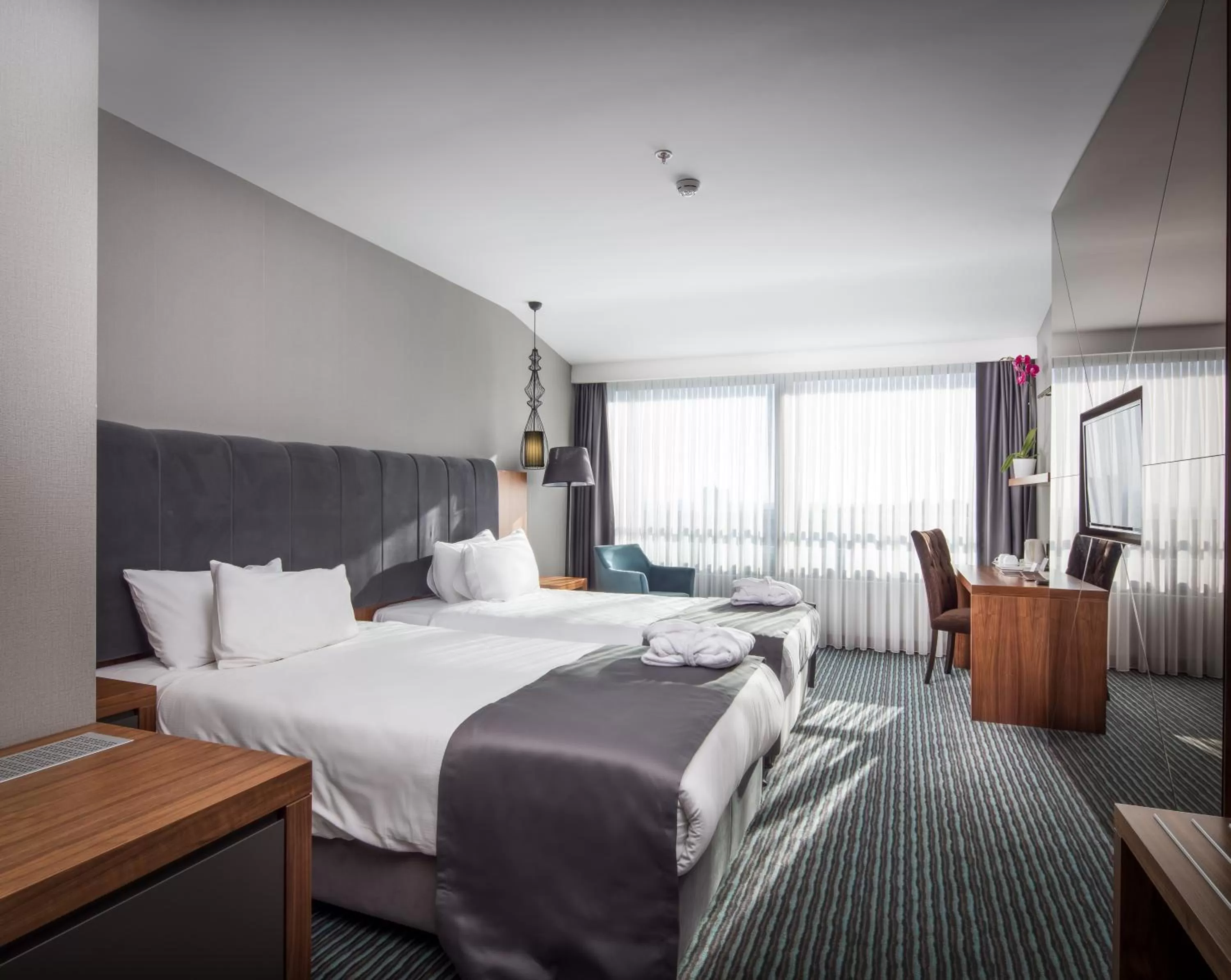 City view, Bed in Volley Hotel Istanbul