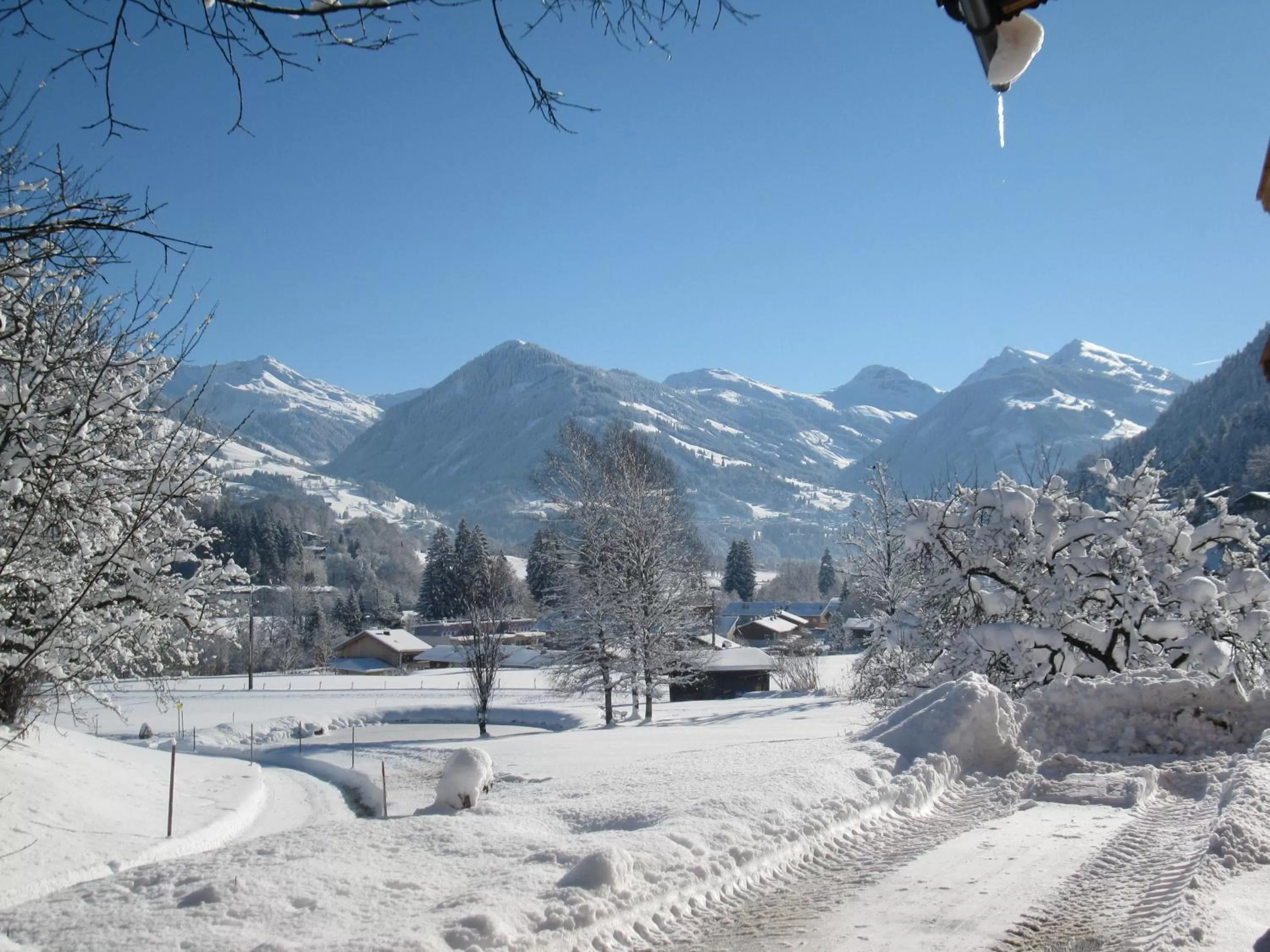Natural landscape in Malernhof