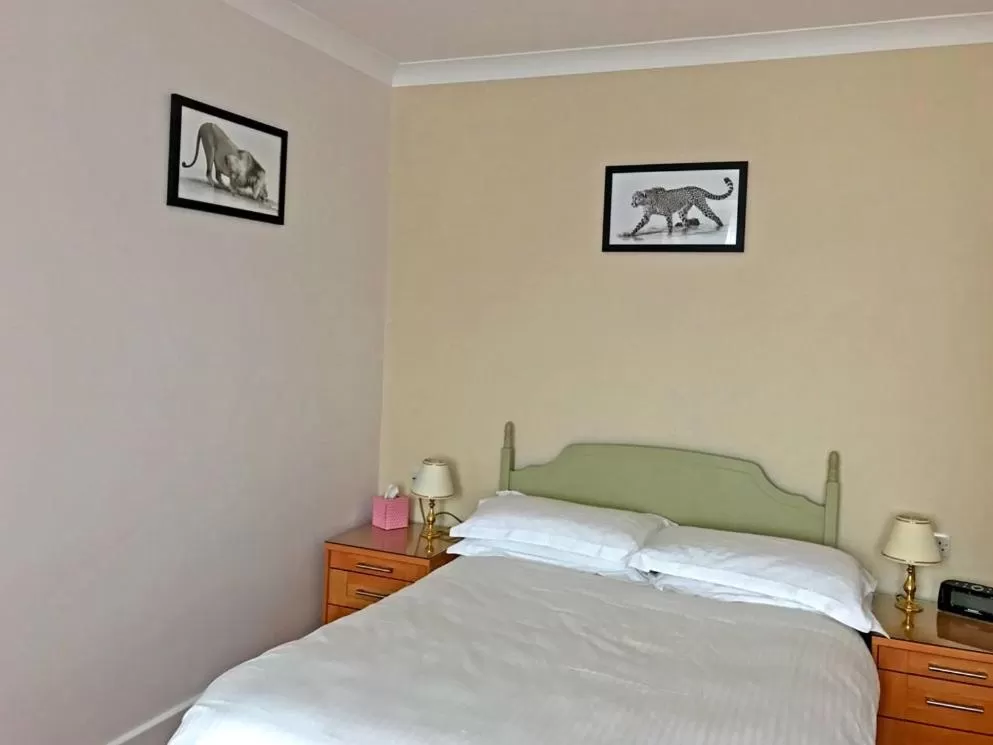 Small Double Room - single occupancy in Merton House