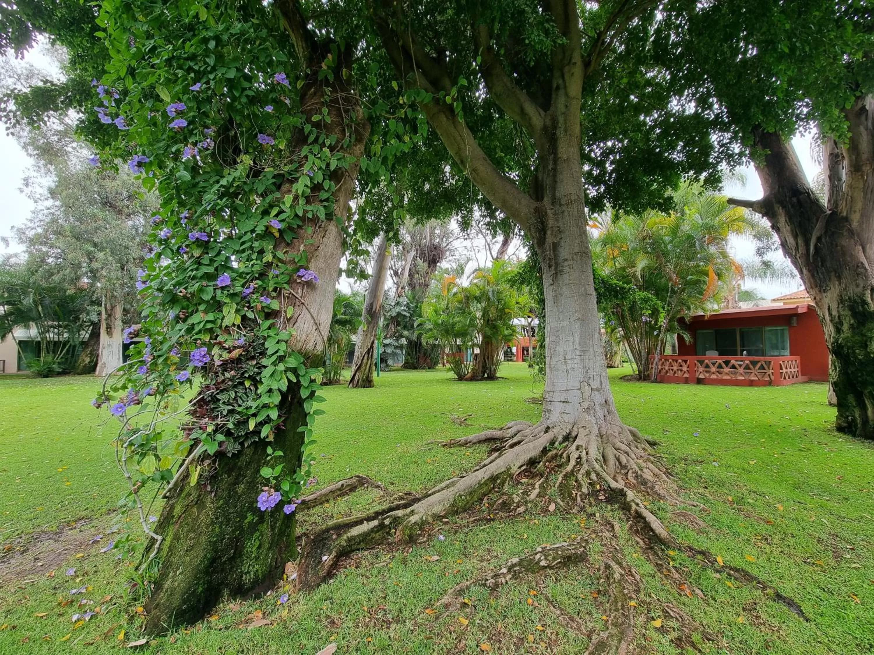 Property building in Real de Chapala