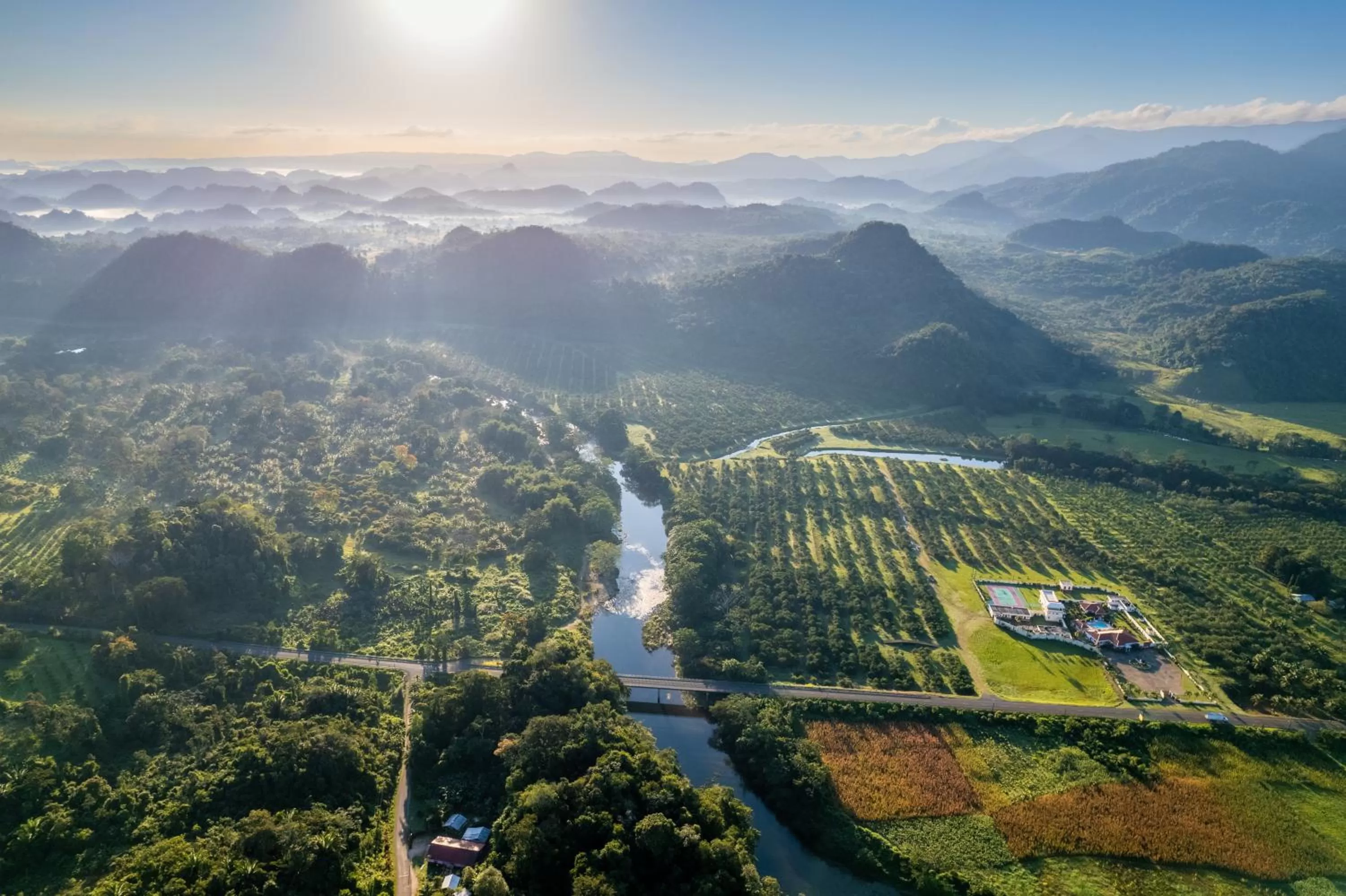 View (from property/room) in Sleeping Giant Rainforest Lodge