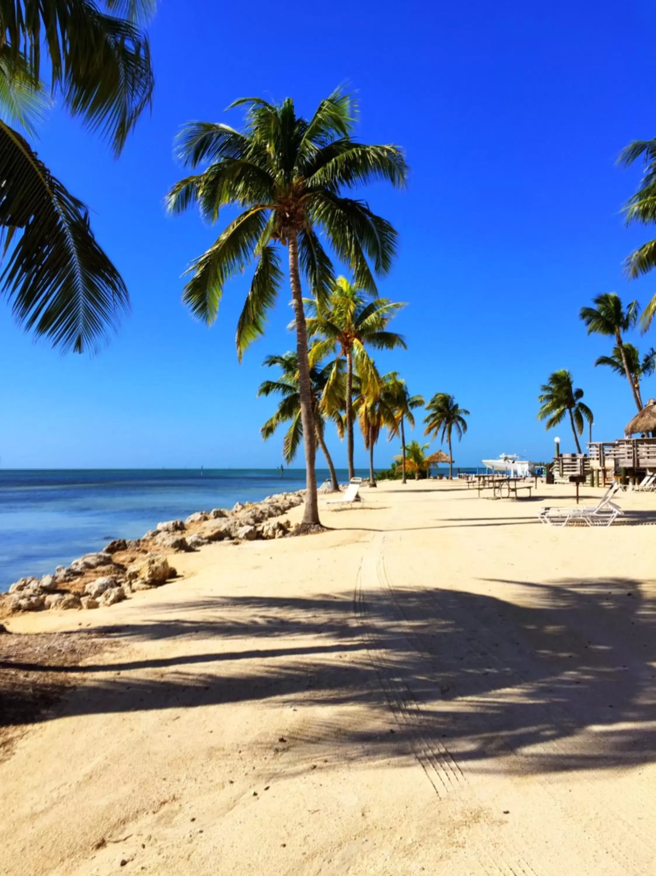 Day, Beach in Caloosa Cove Resort - With Full Kitchens