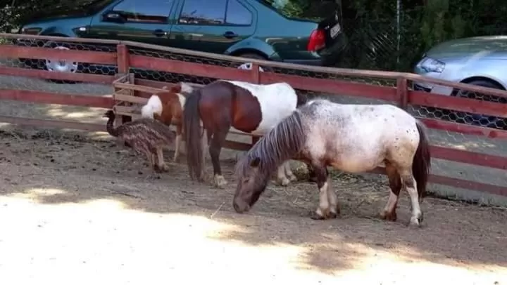 Etno selo Vile Jefimija, selo Preobrazenje, Vranje