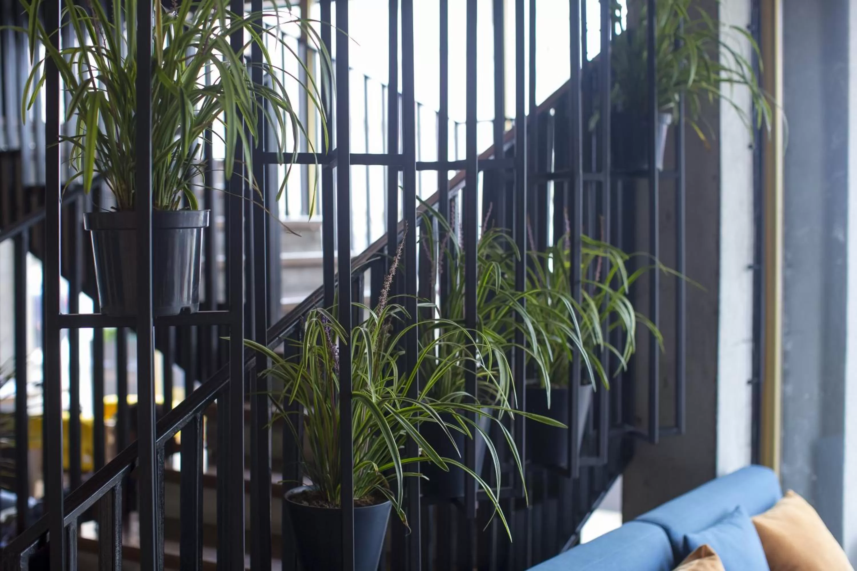 Area and facilities in Aparthotel Tangerine