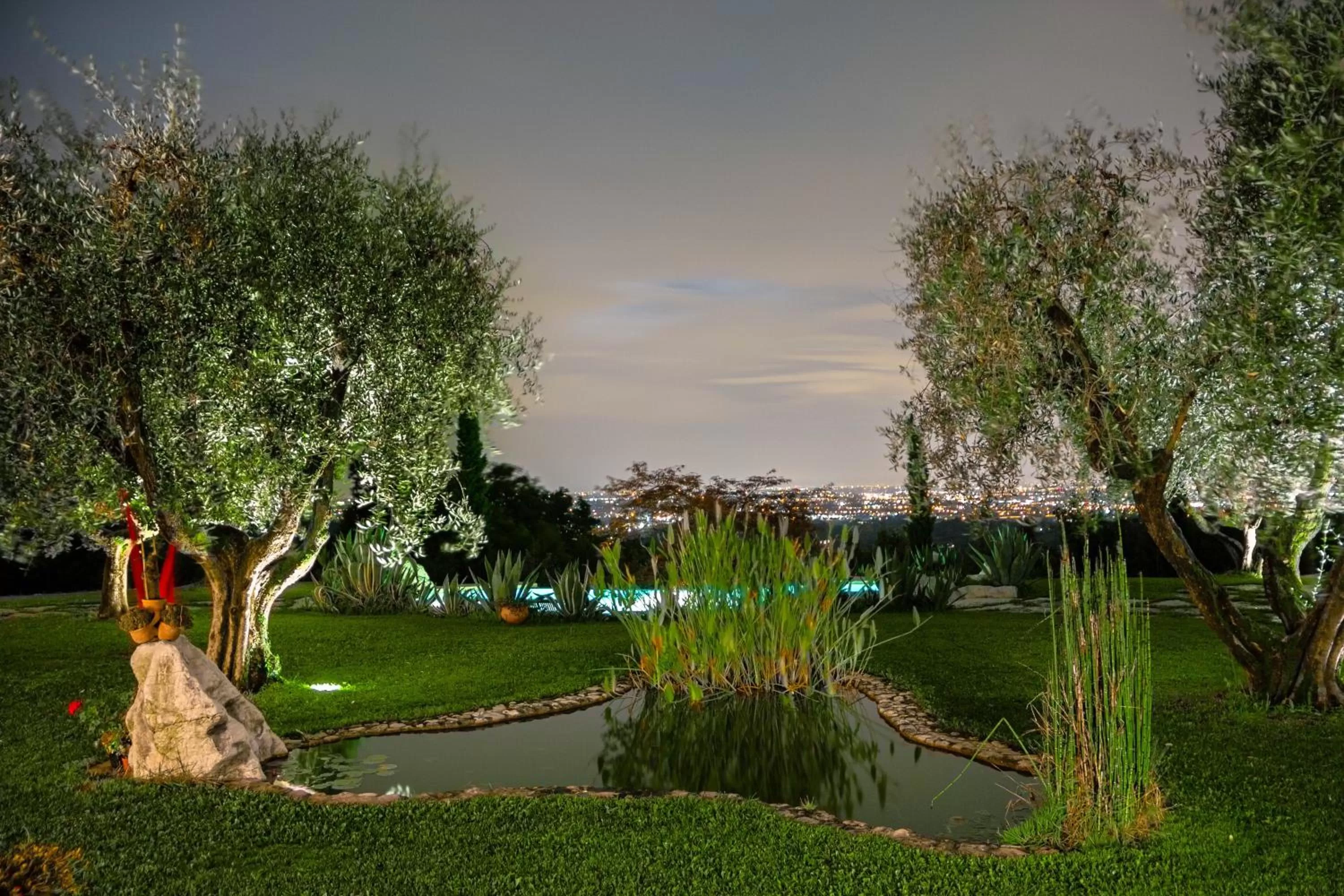 Night in B&B LE AGAVI