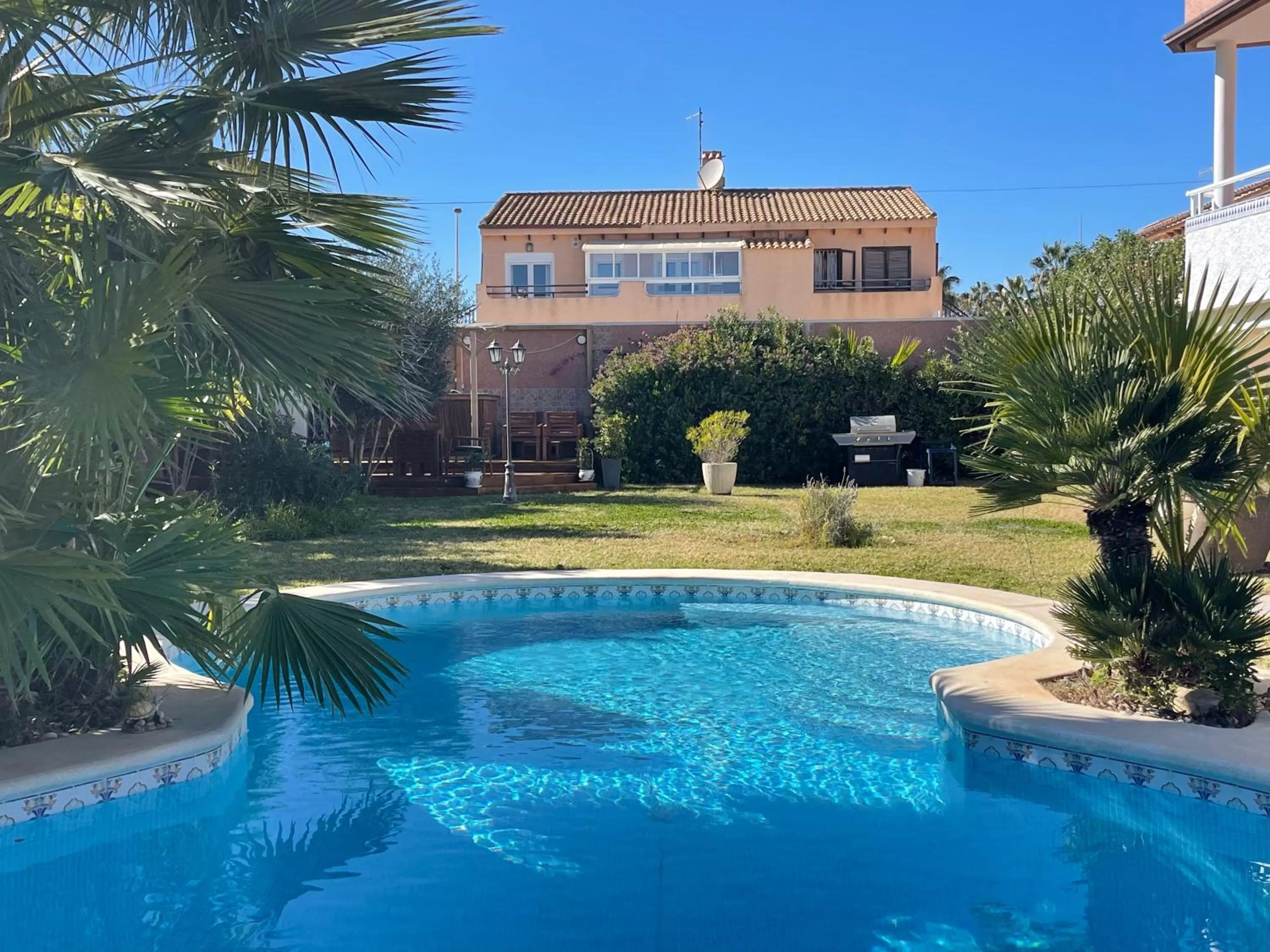 Garden in Anna's garden