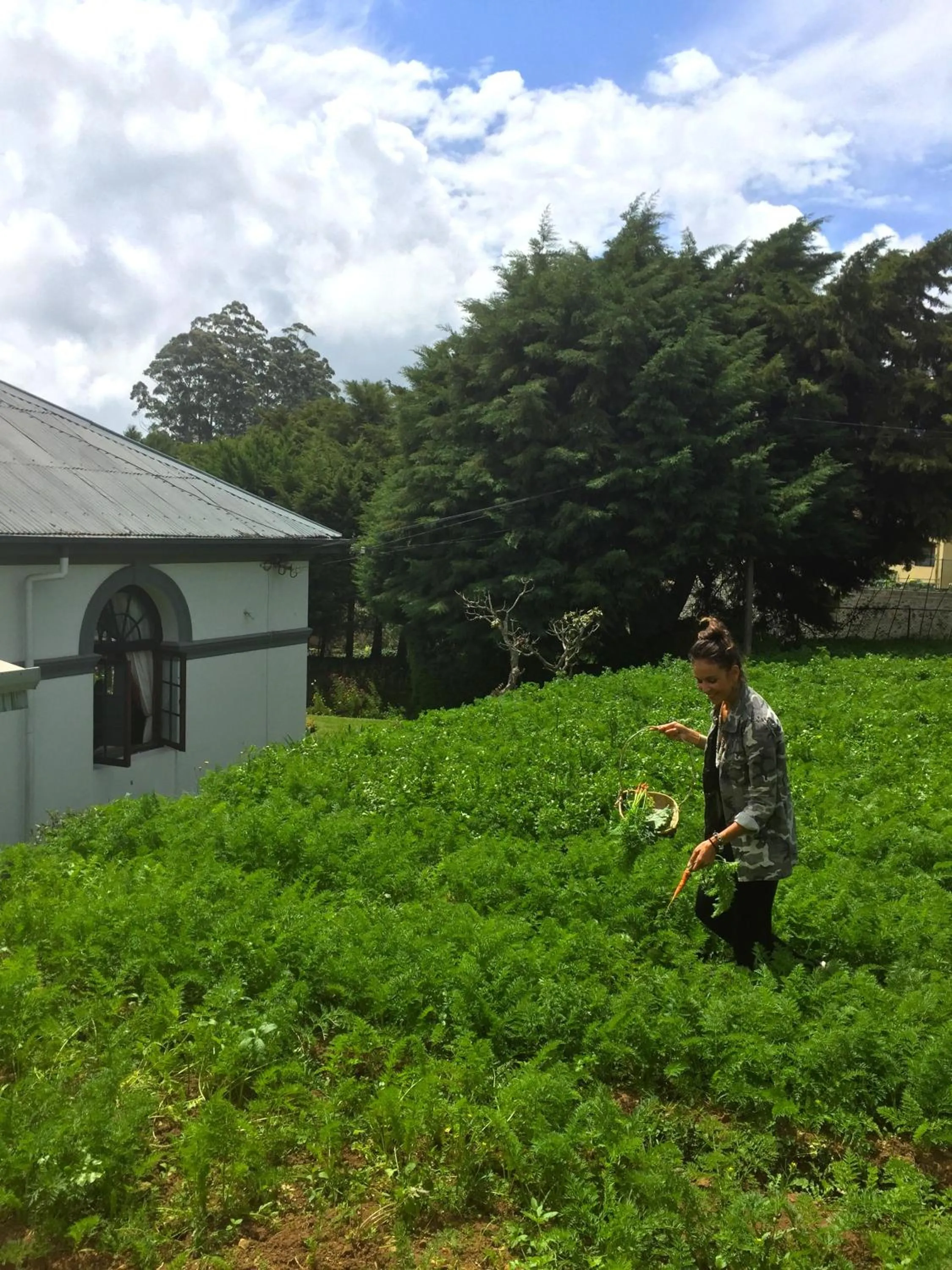 Garden in Royal Cocoon - Nuwara Eliya