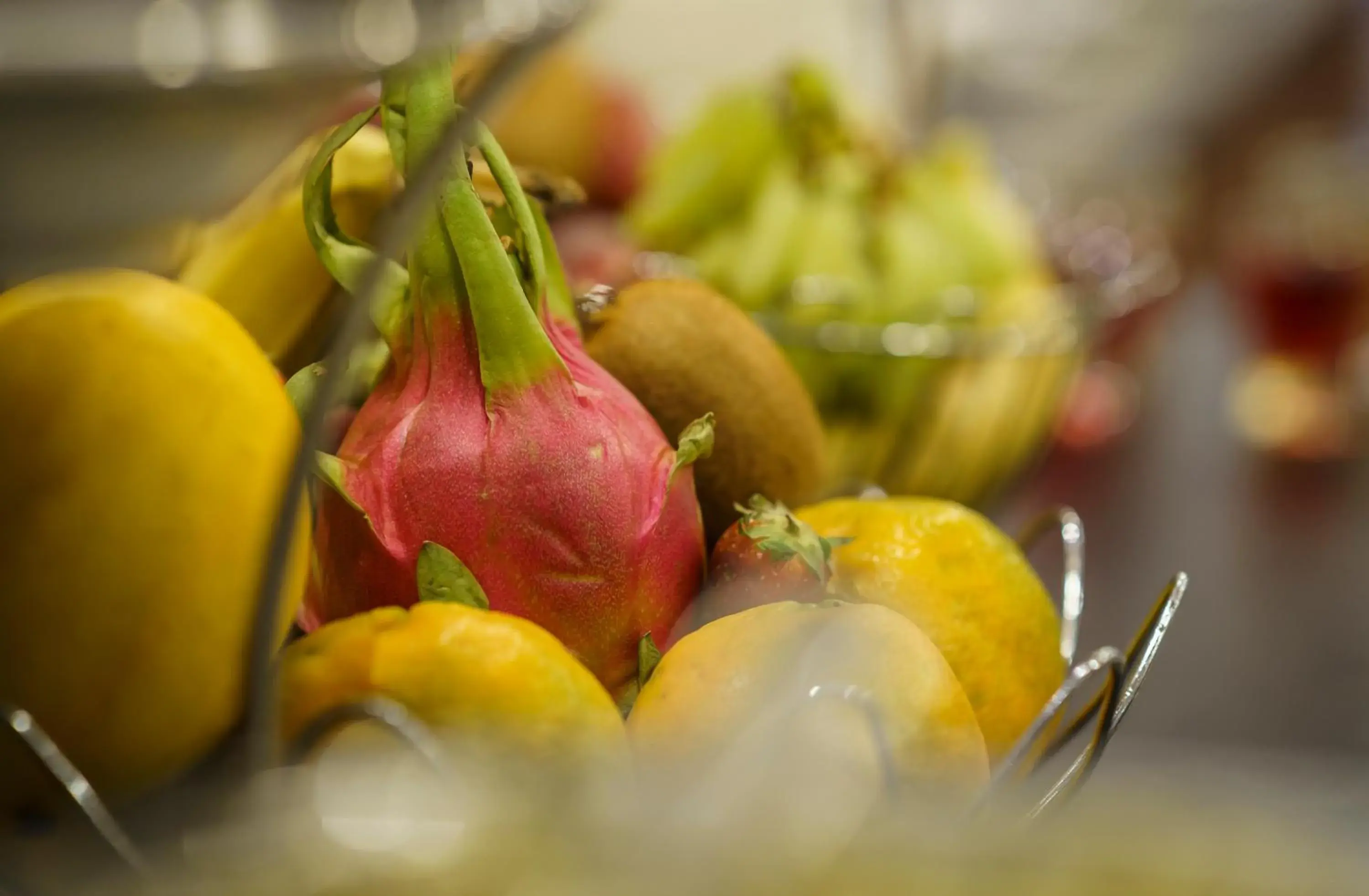 Food close-up in Caspia Hotel New Delhi