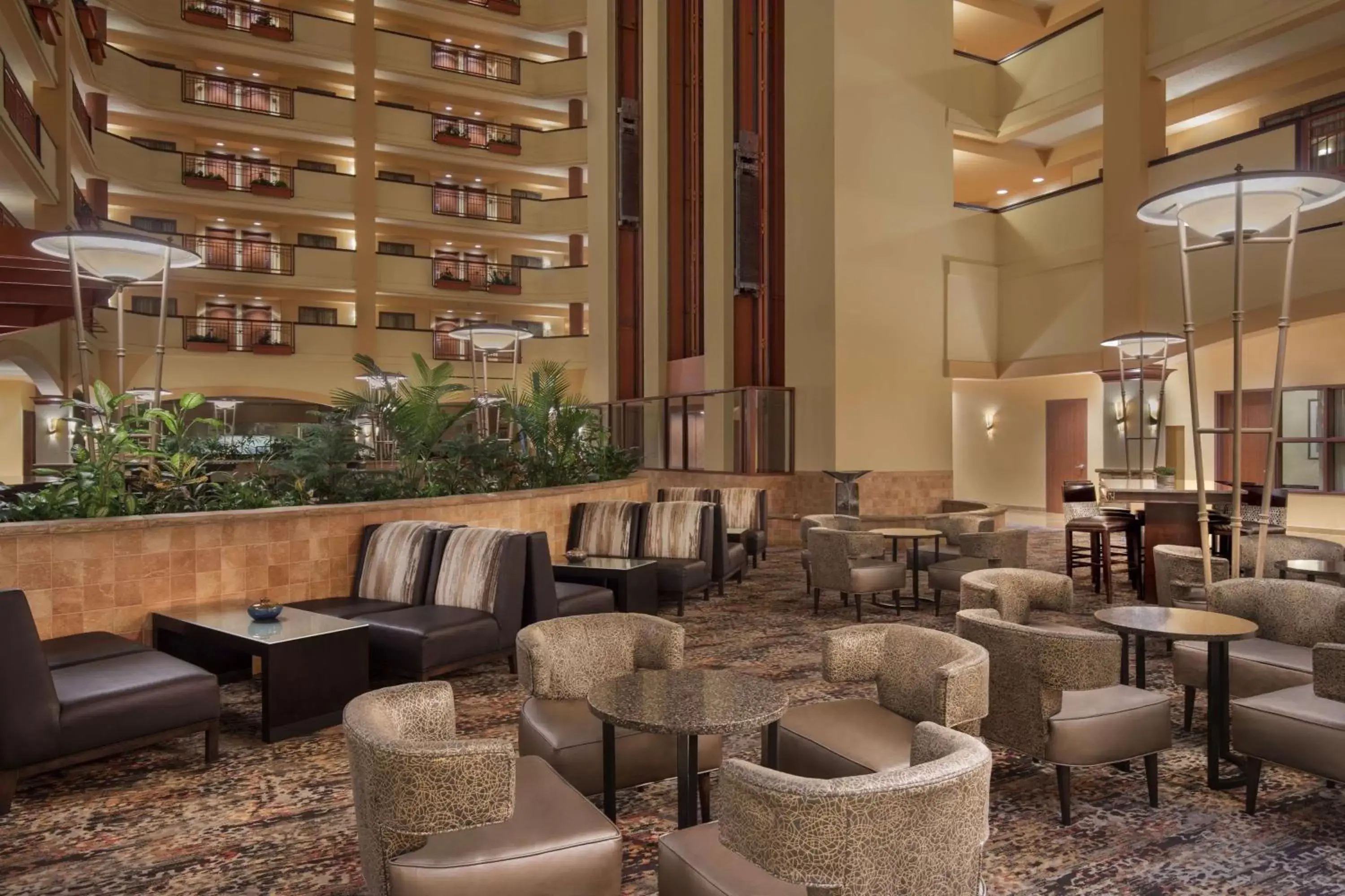 Lobby or reception, Lounge/Bar in Embassy Suites by Hilton San Marcos Hotel Conference Center