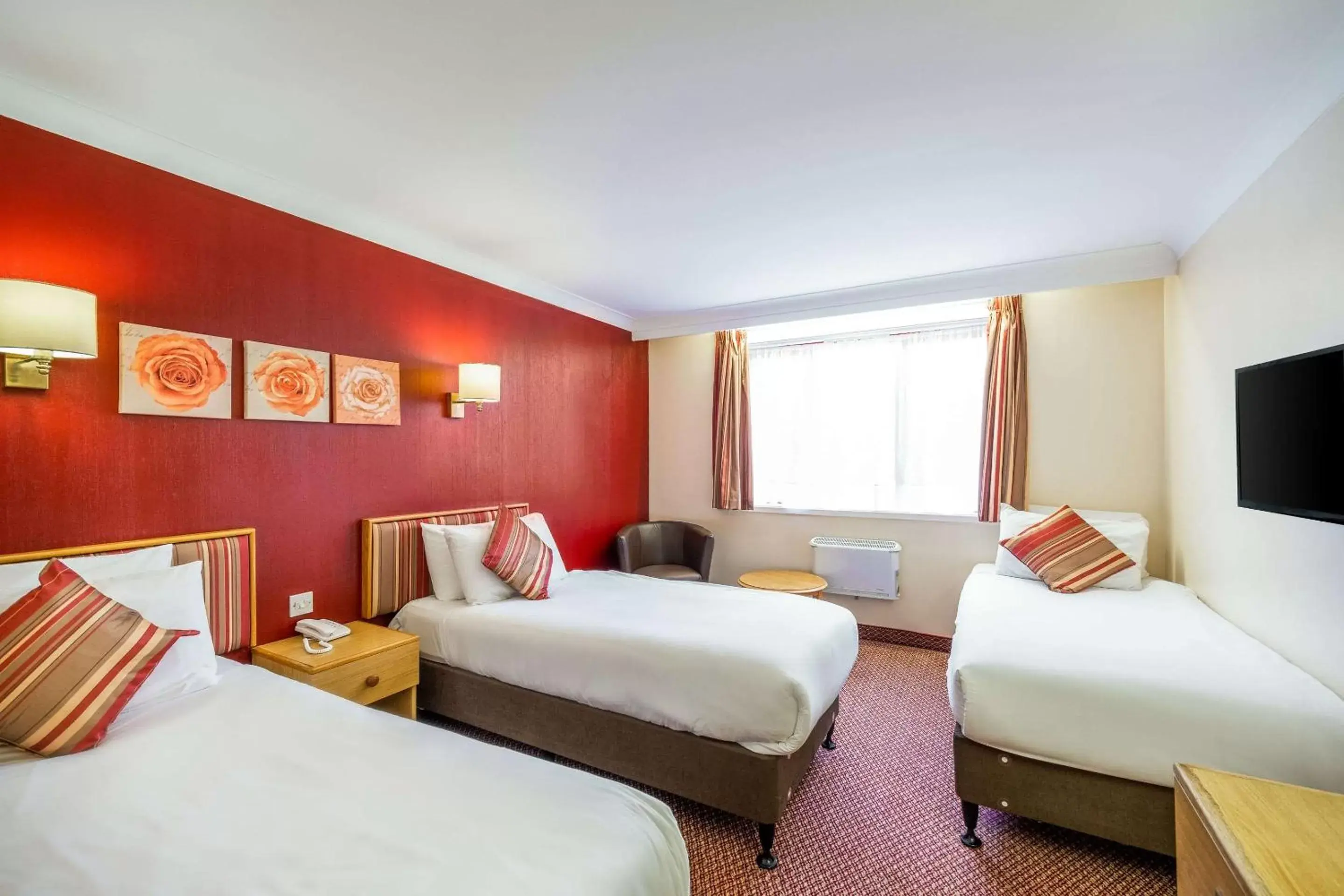 Photo of the whole room, Bed in Comfort Inn Arundel