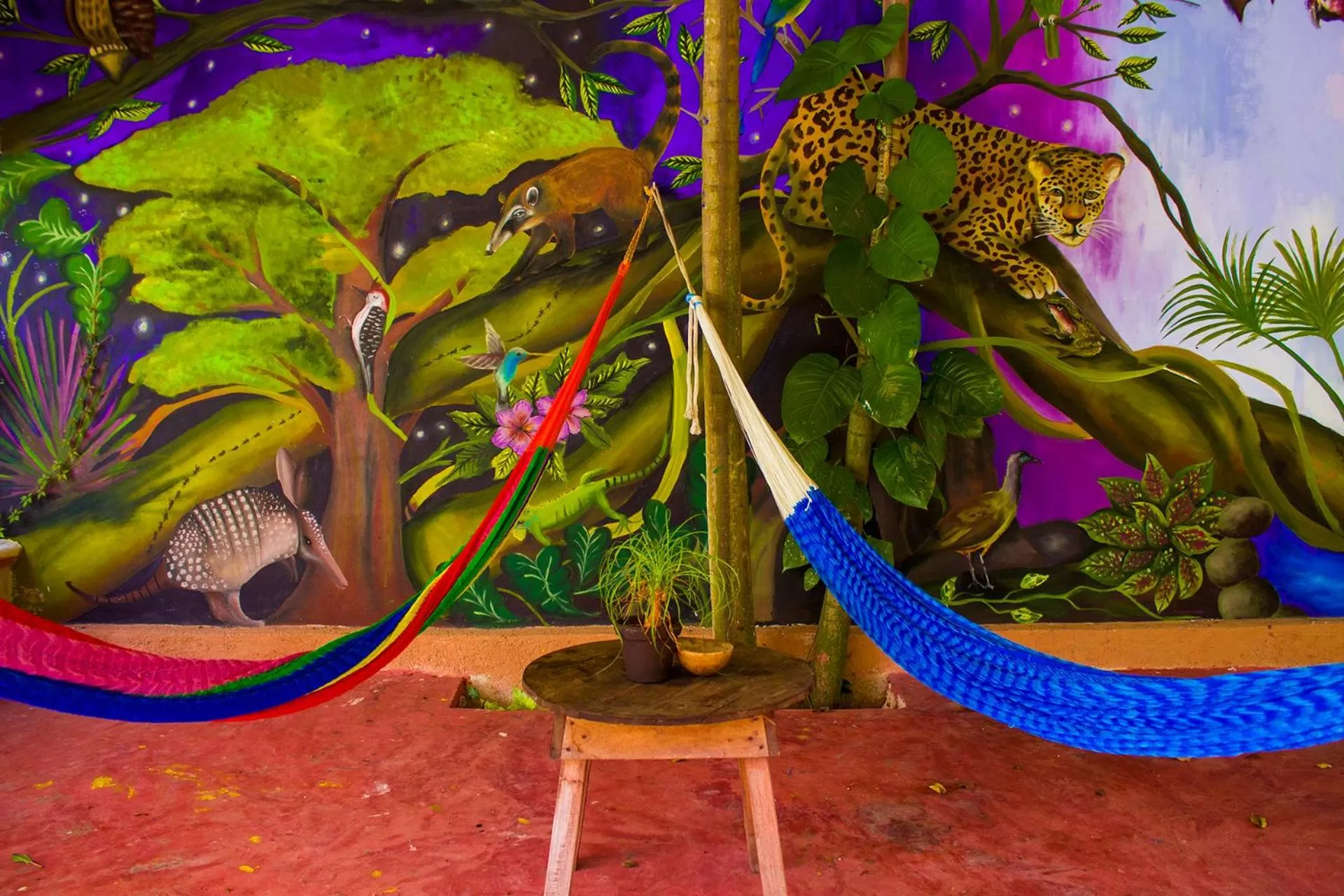 Area and facilities in Casa De Los Pájaros - B&B