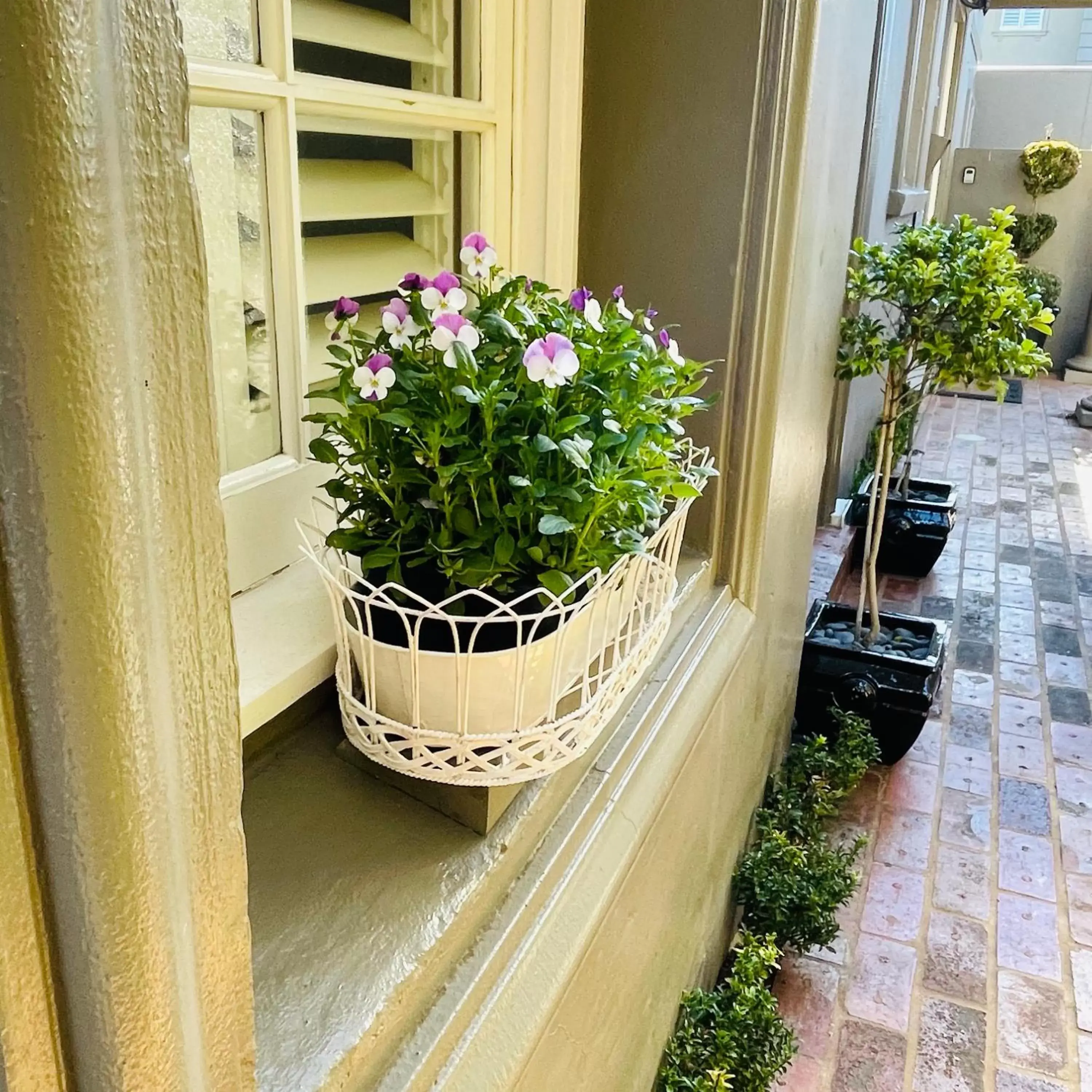 Garden in Gallery Apartments