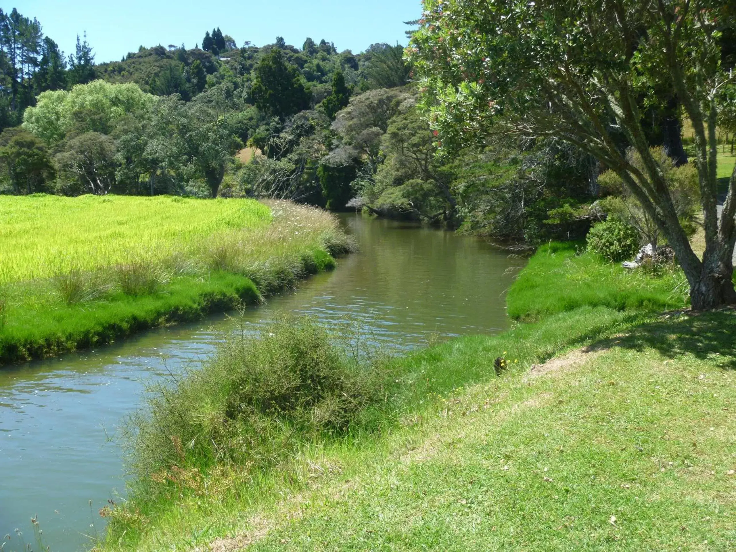 River view in At Parkland Place B&B