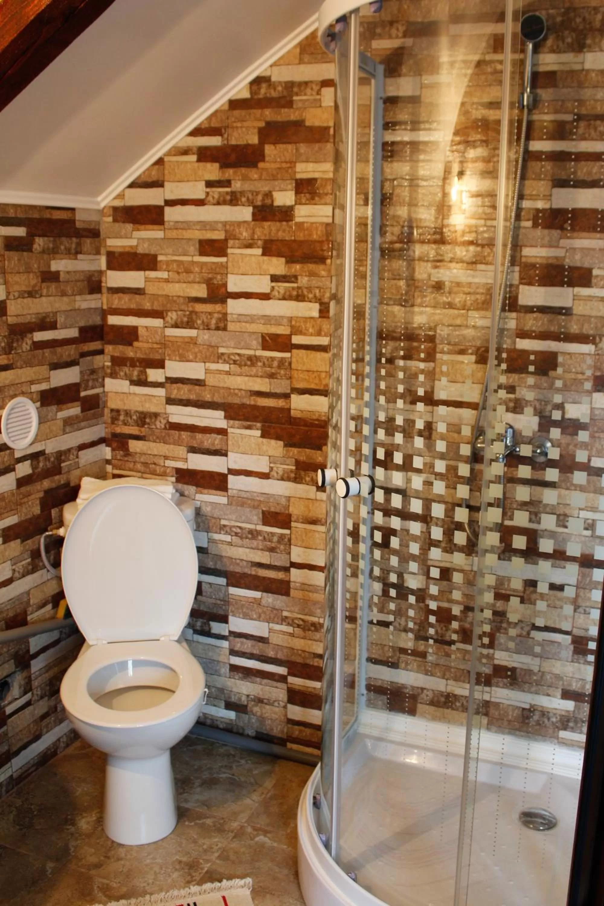 Toilet in Pensiunea Taverna Bucium