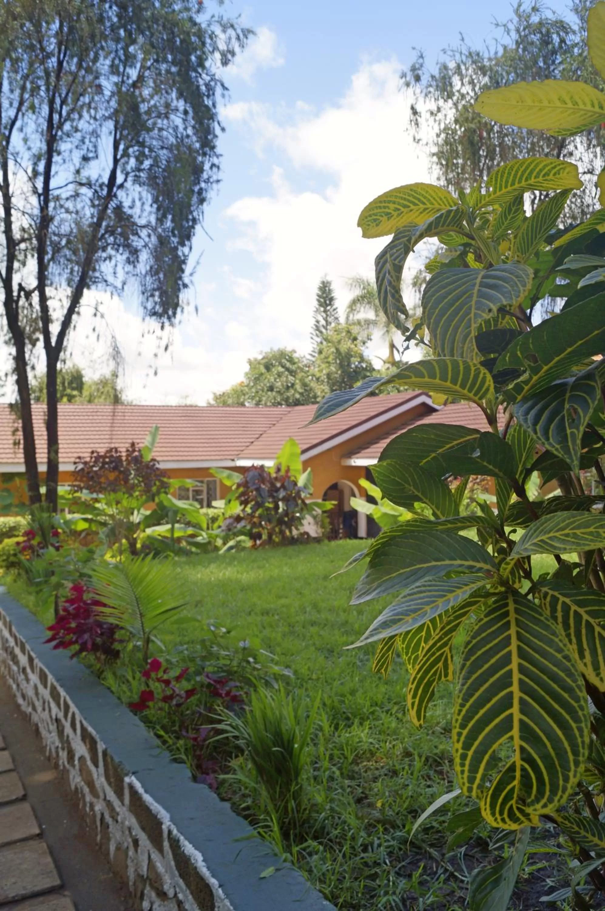 Garden in Utamaduni House B&B